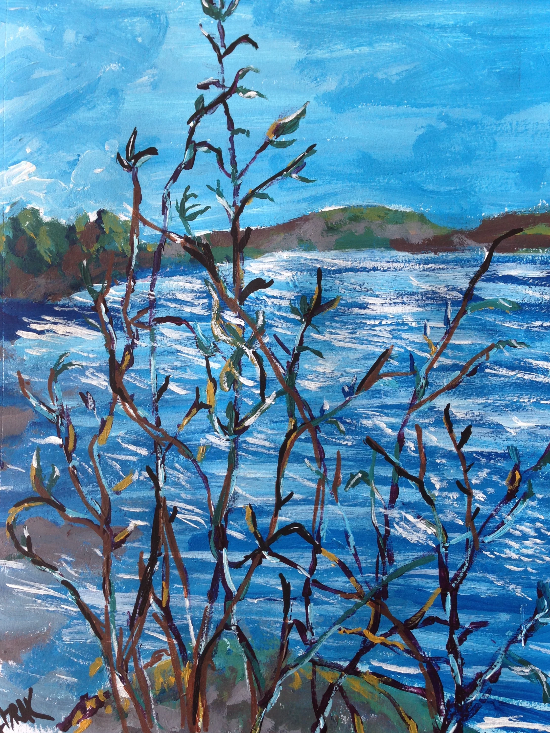 Buds and West River