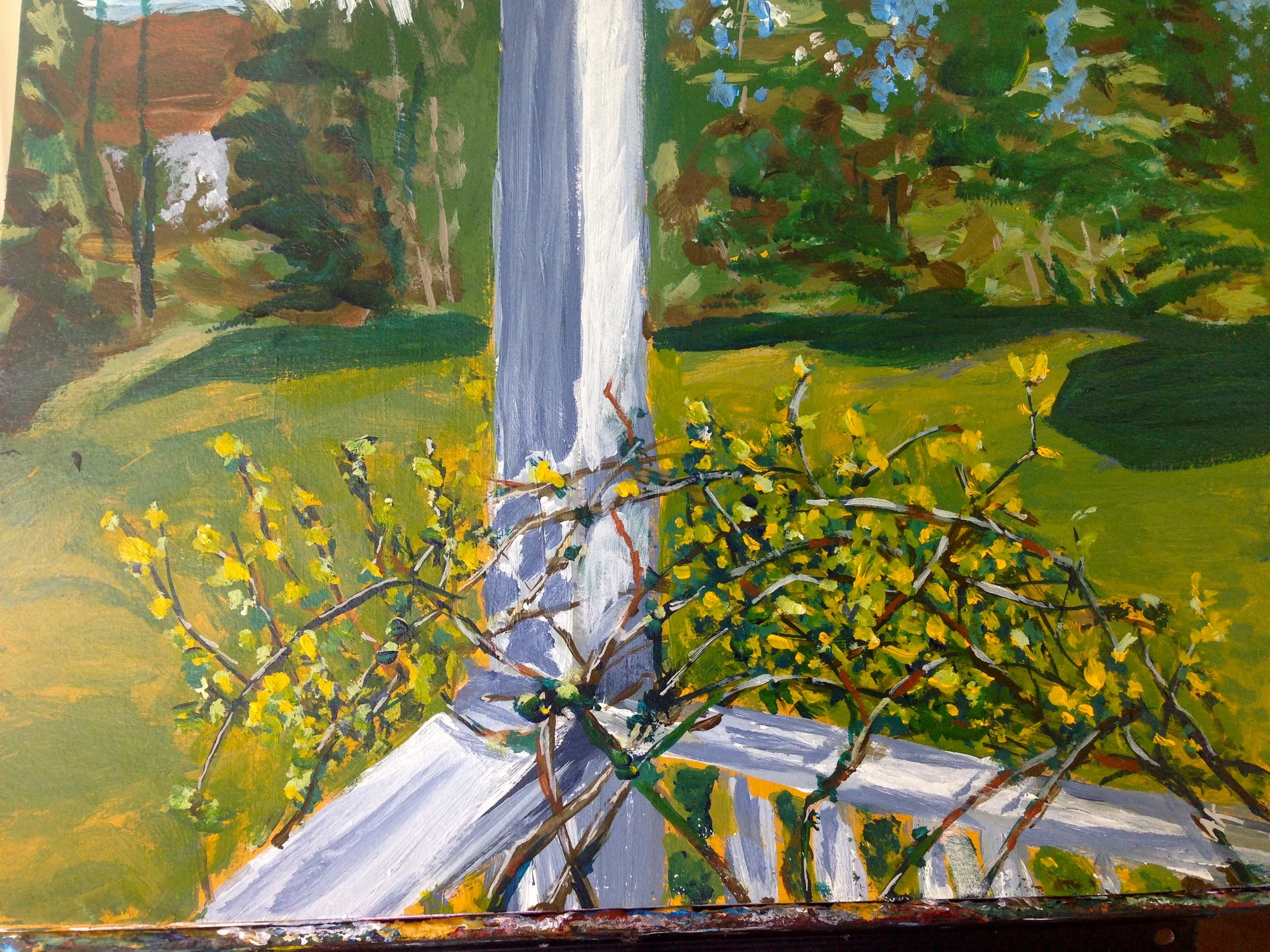 The Vines on the Porch