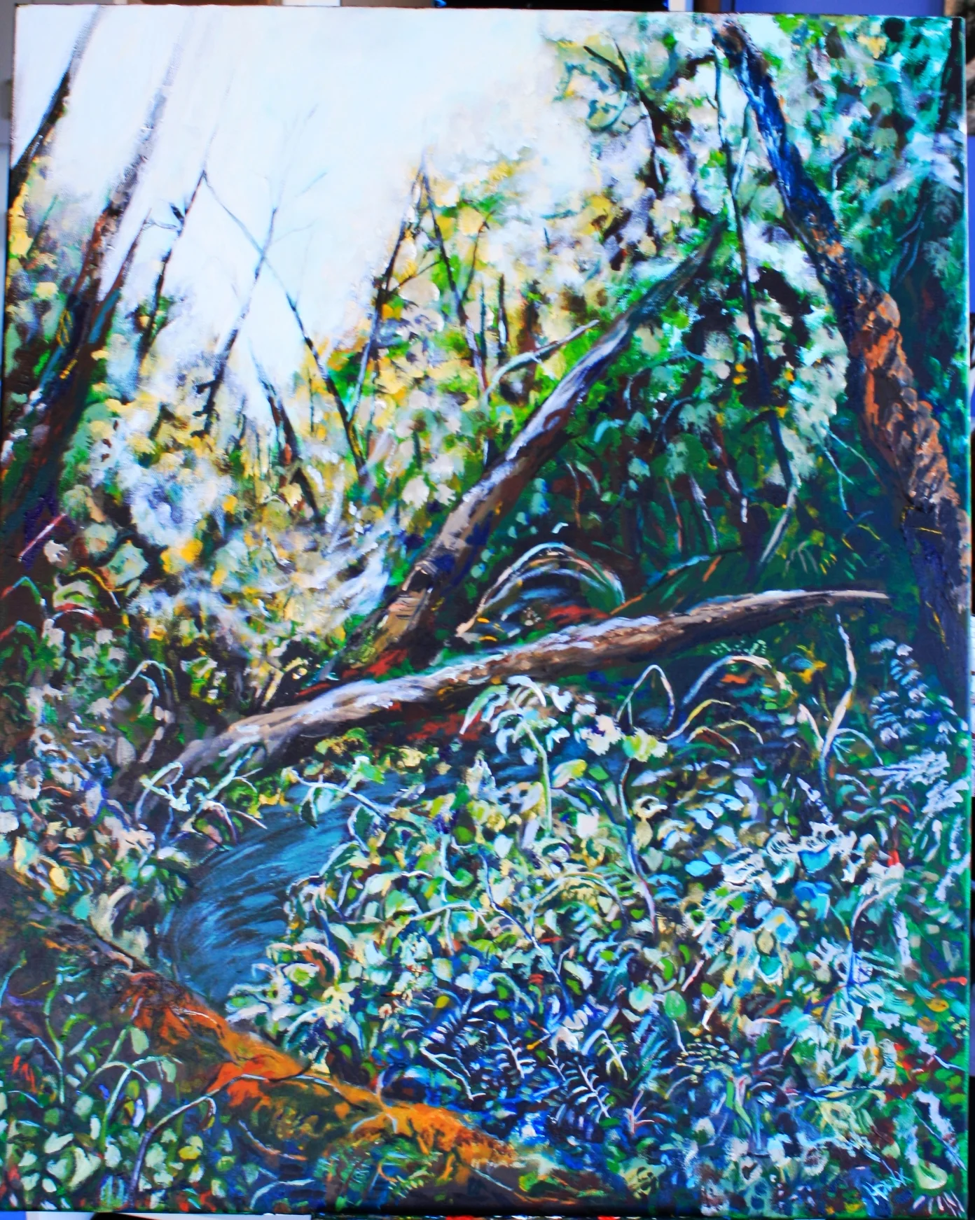 Haida Gwaii, 5. SOLD
