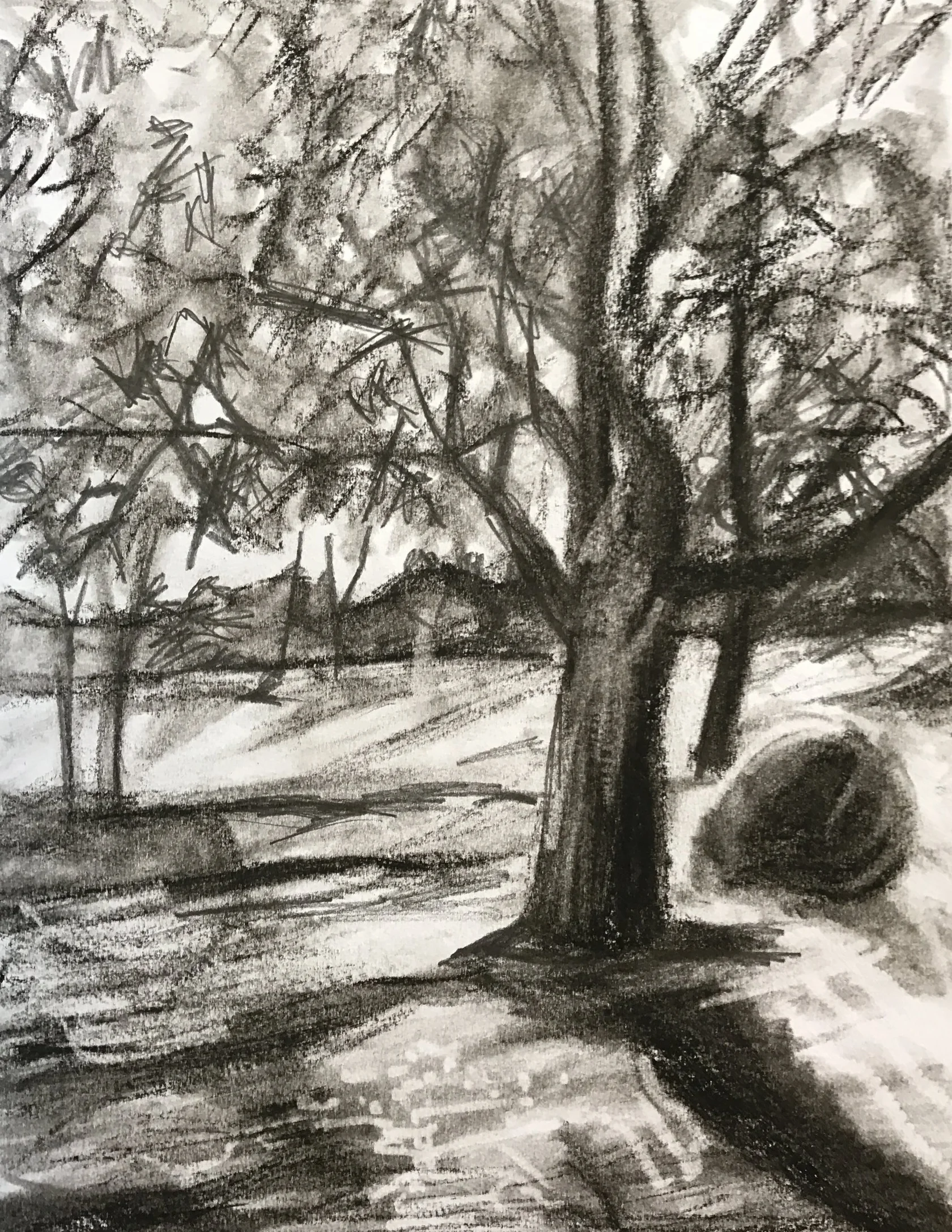 Christie Pitts, Toronto Charcoal on Paper 8.5"x11" $60