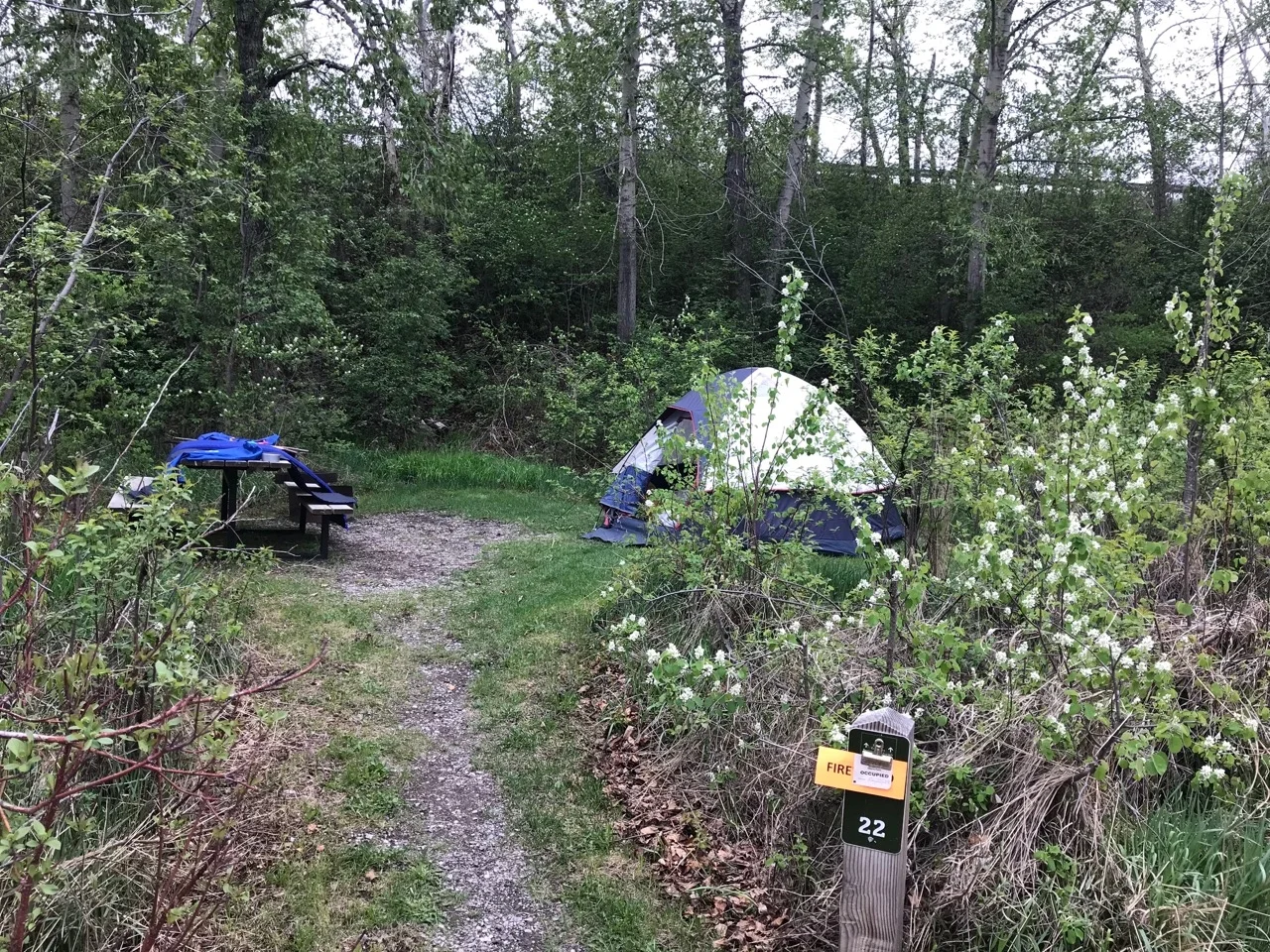The first campsite. Lundbreck Falls, Alberta