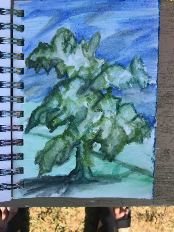 My favourite tree to find shade