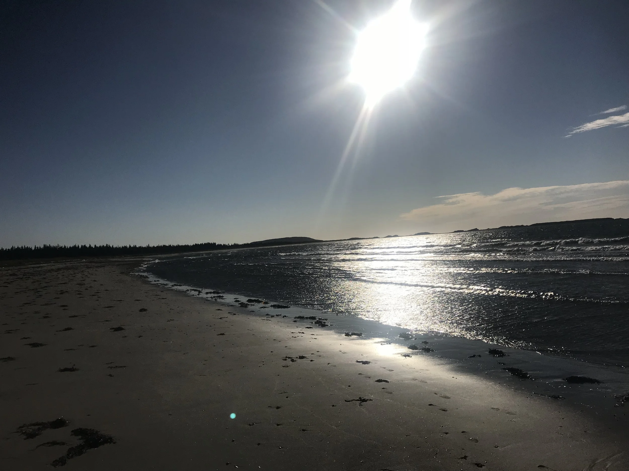 The Beach at Cowhead, NFLD