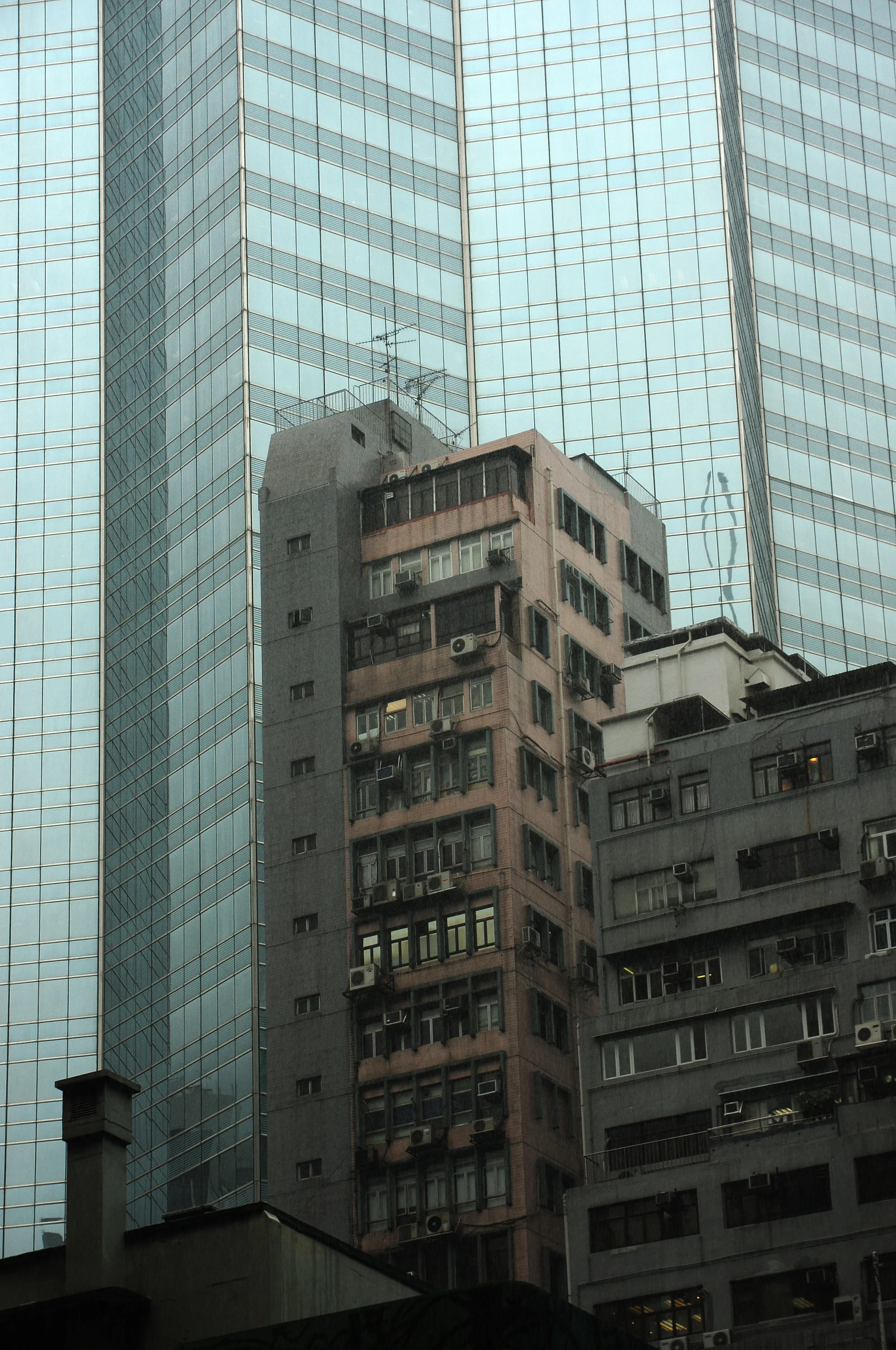 DSC_0827.JPG