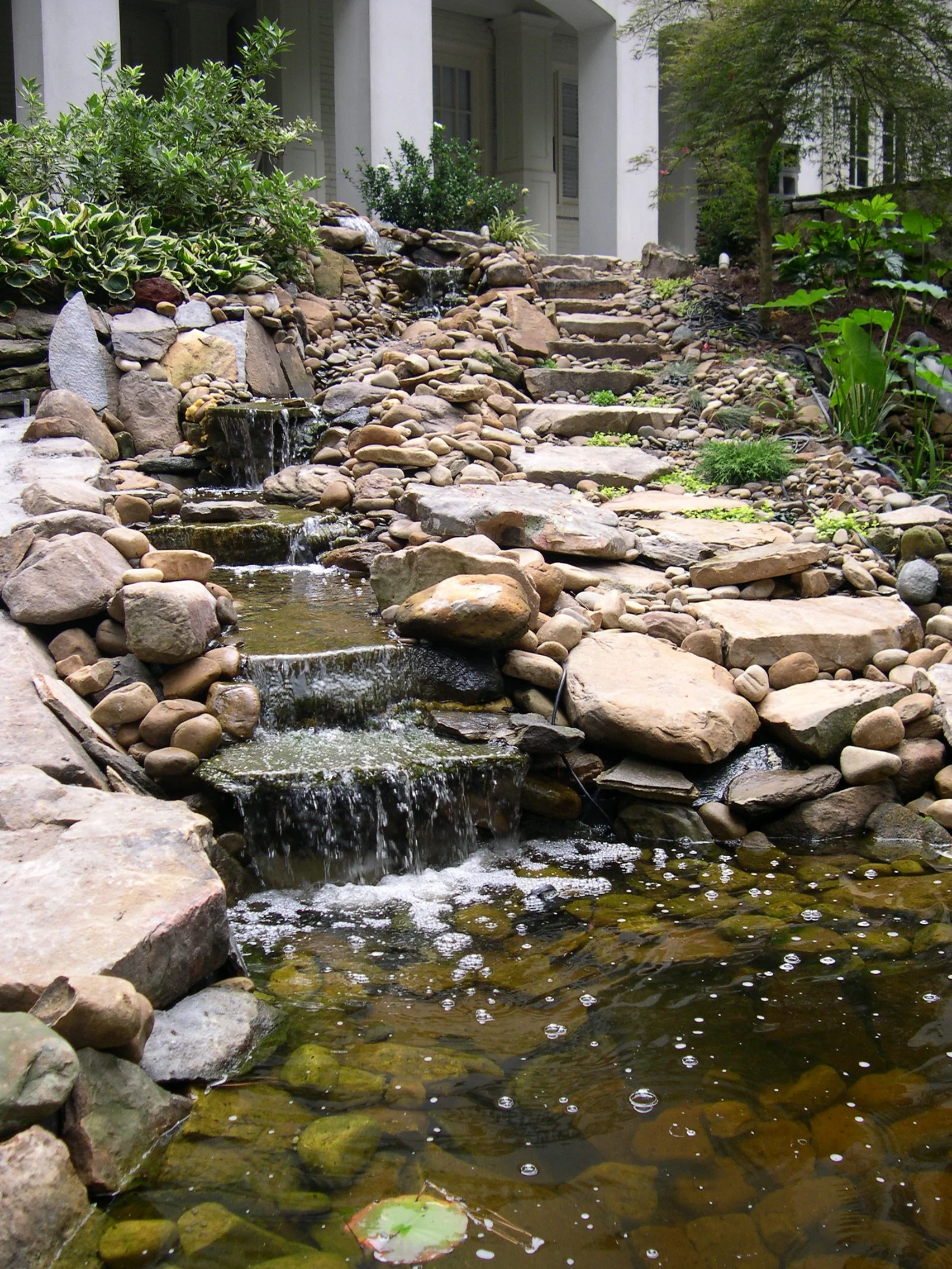 DSCN2500.JPG