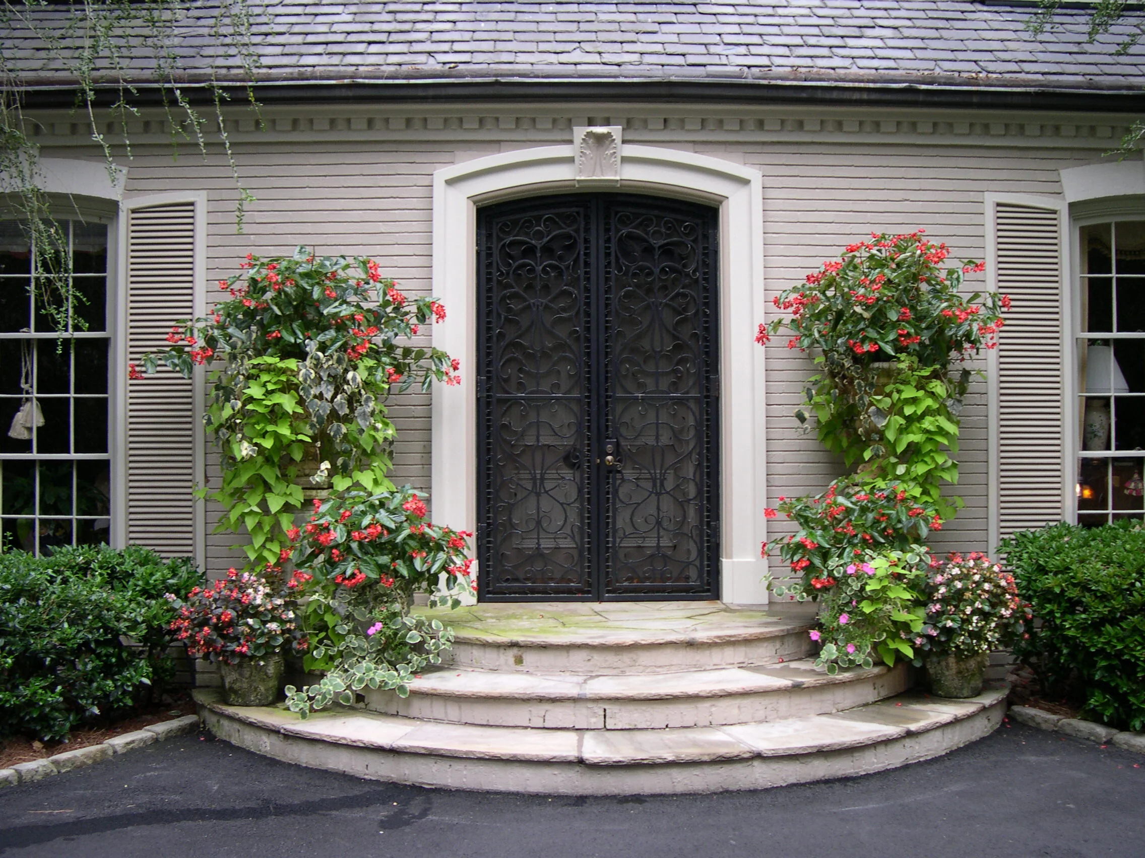 Arp colse up pots.JPG