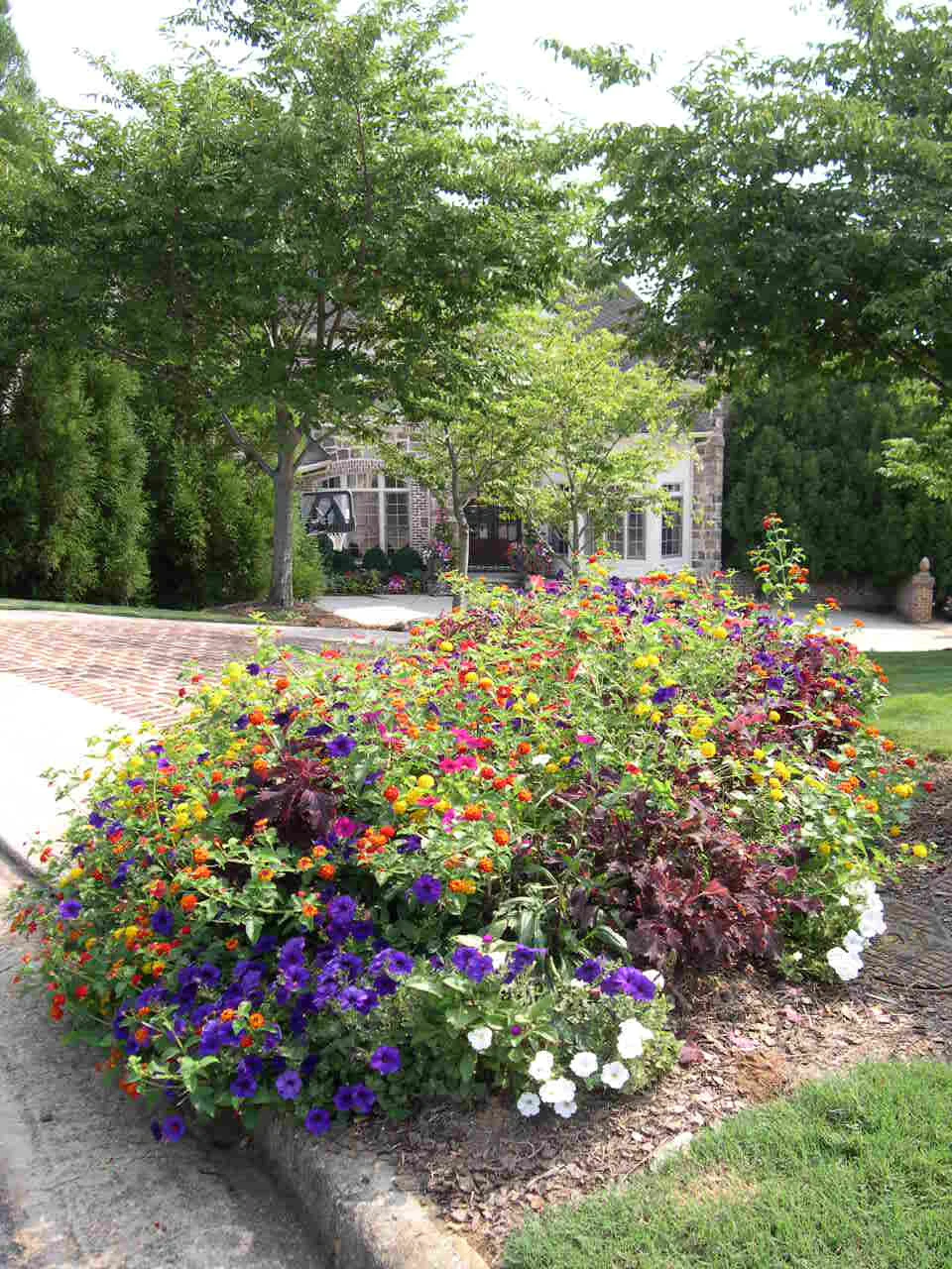 McClanahan Front color bed.JPG