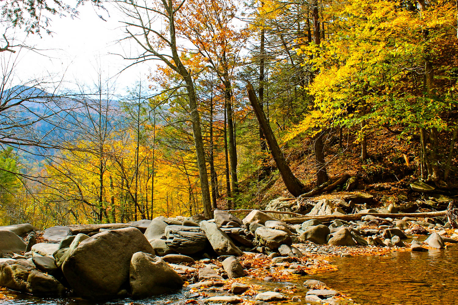 Kaaterskill Falls, New York