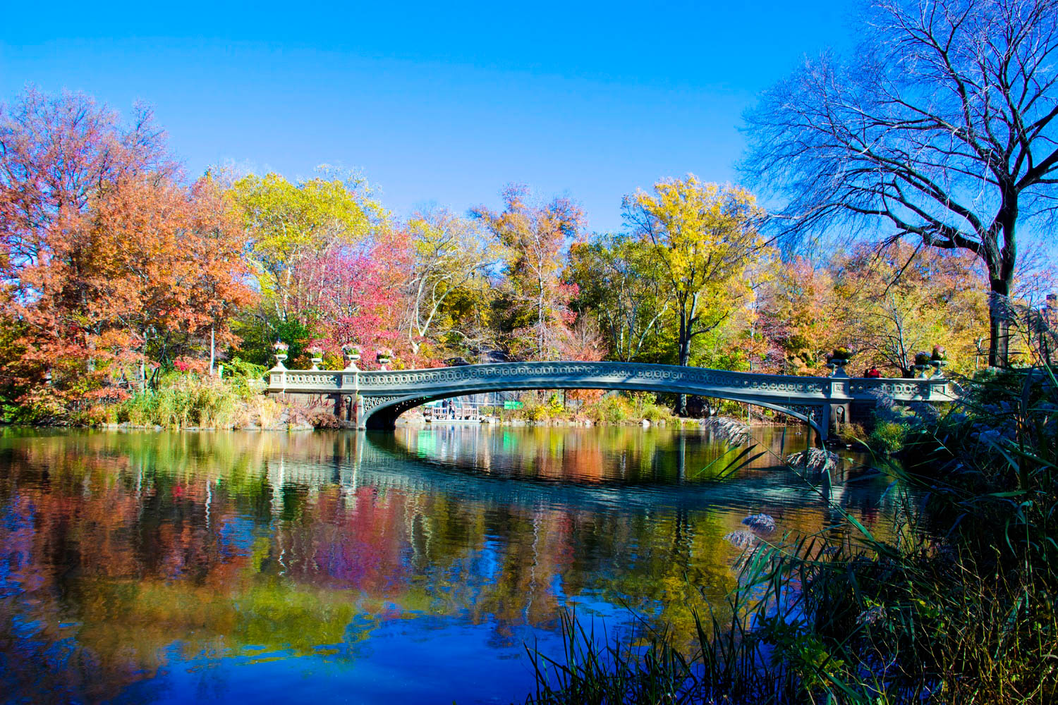 Bow Bridge, Central Park, Manhattan, New York