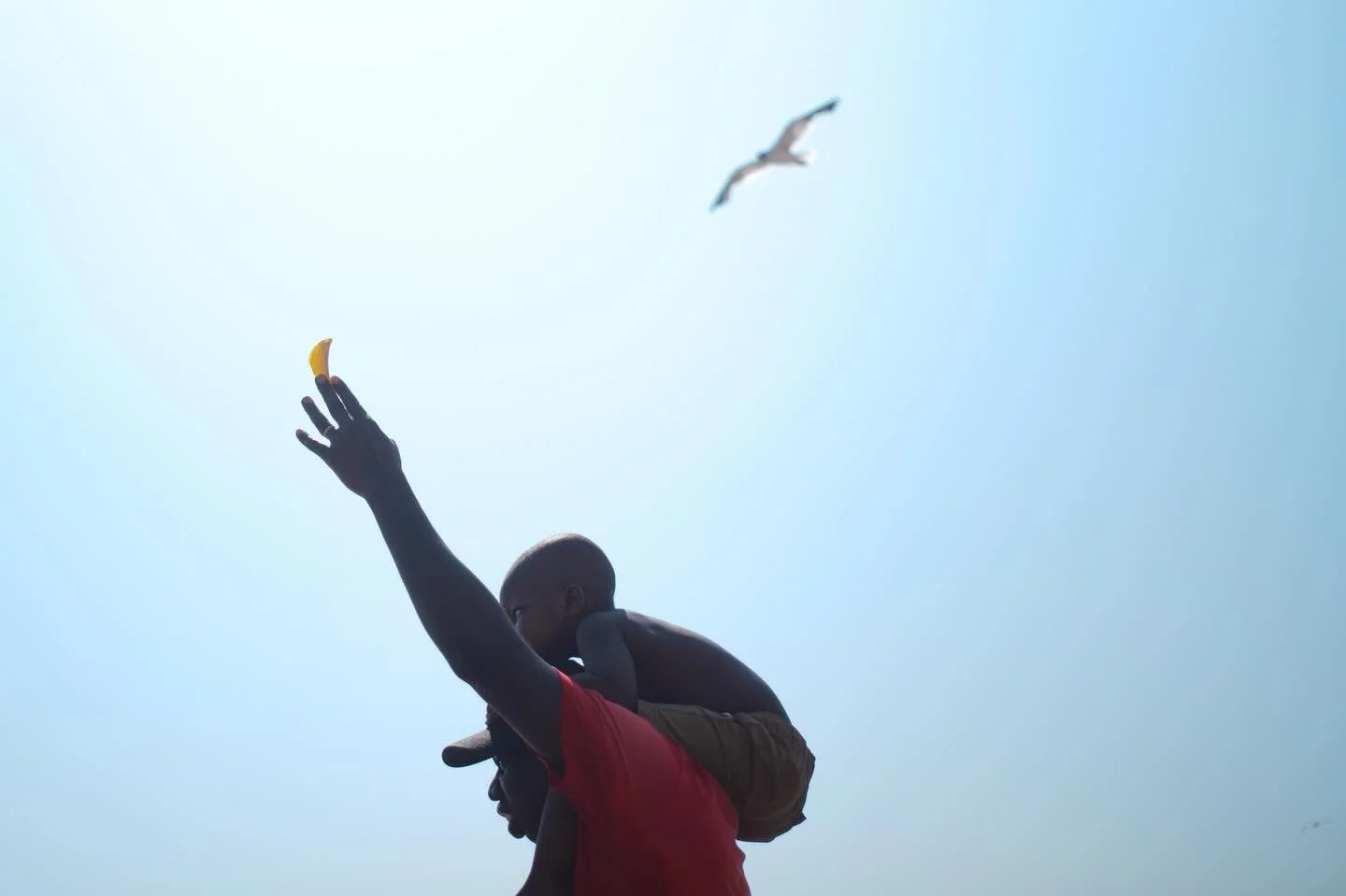 Clearing my SD card and found this image from Coney Island last summer - a fun memory to find on one of the coldest days of the year. Looking forward to jumping in the water on January 1st for the annual Polar Bear Plunge. 

#brightonbeach #newyork #
