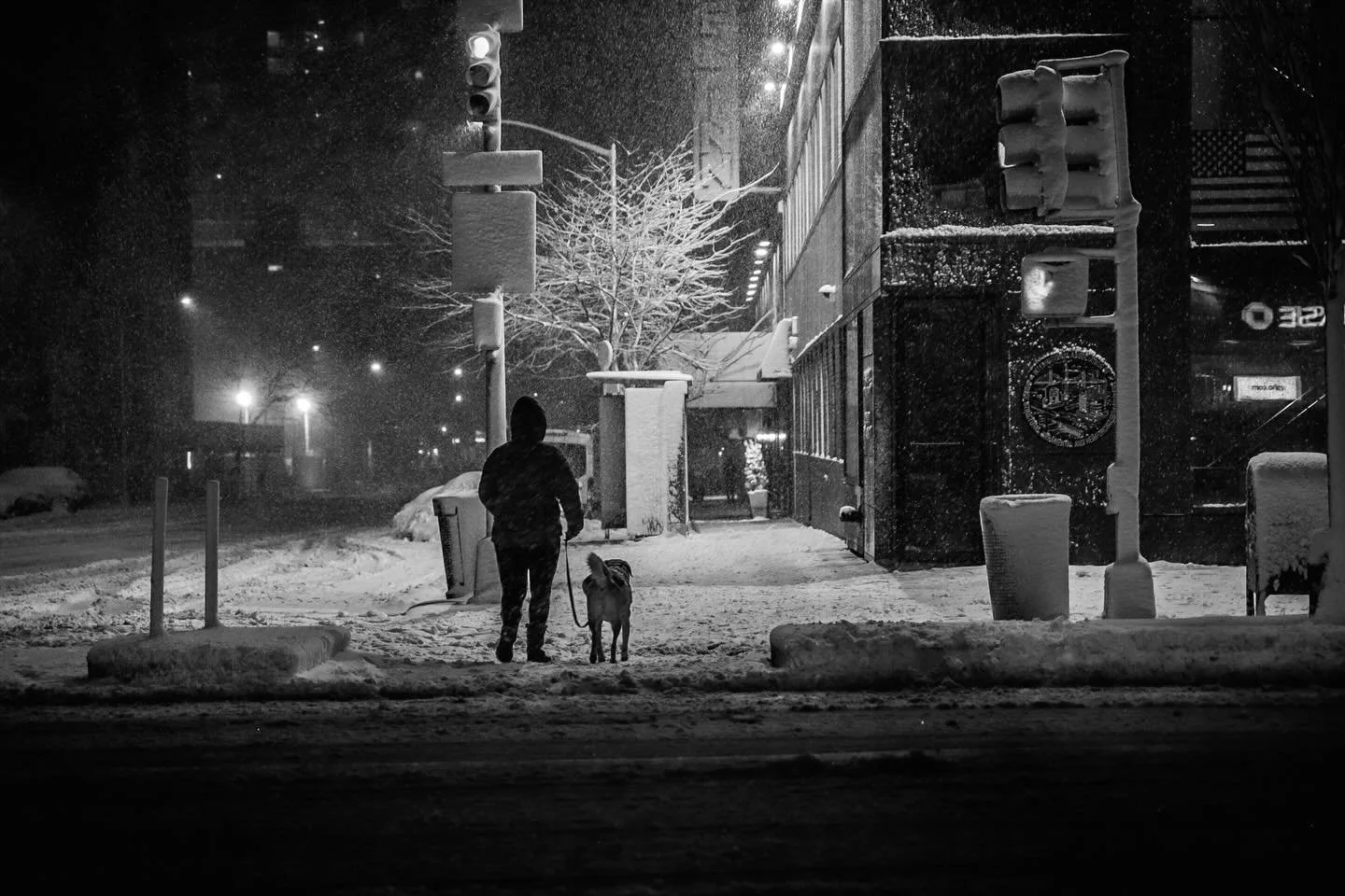 Blizzard in black and white. 

Okay, y&rsquo;all, a few things: First, I am thoroughly enjoying everyone&rsquo;s blizzard photos and videos. Nothing brings New York together like a &ldquo;weather event.&rdquo; 🤣 But seriously, my timeline is full of