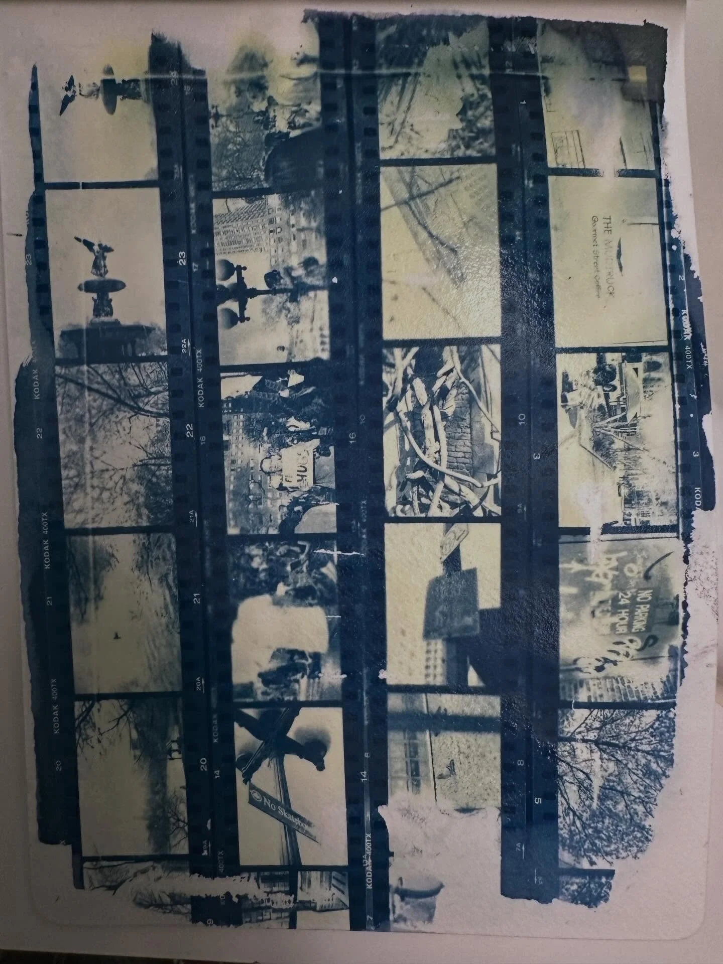Some rainy-day cyanotypes from my sketchbook. 

I found some old 35mm film negatives lying around and have been developing them myself. I have piles of them. This was my first round today. It&rsquo;s a surprise to see what turns up. The first image i