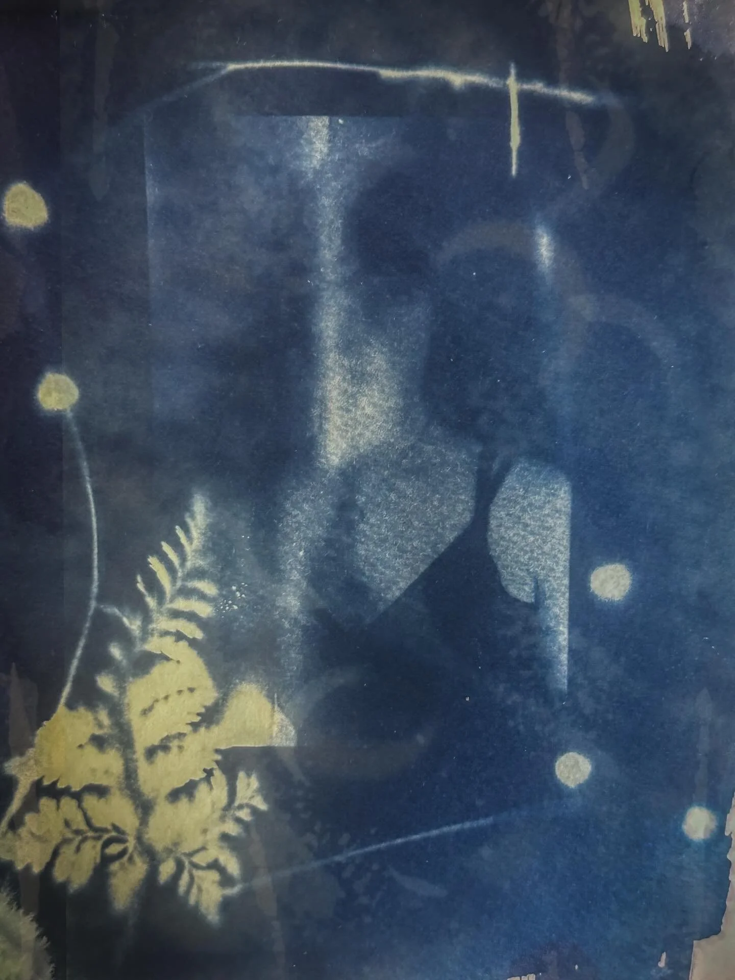 Well, I have been pissy since yesterday after frying a handful of cyanotypes. I couldn&rsquo;t stop thinking about what went wrong (&ldquo;did the solution go bad? Did I not measure it right?&rdquo;). I returned to it today. (Turns out, I was underex