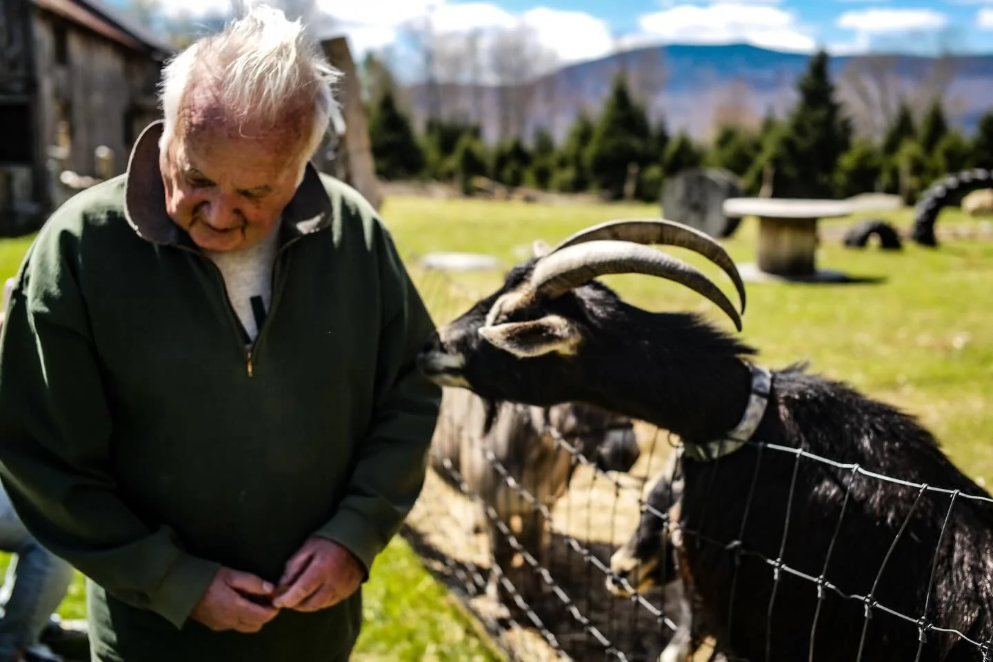 Microstory time: This is Pierre, an 82 year old veteran who feeds the animals each day at the Dutton Farm in southern Vermont. &ldquo;Four legged friends are better than two legged ones - less disappointing,&rdquo; he tells me as he breaks up carrots