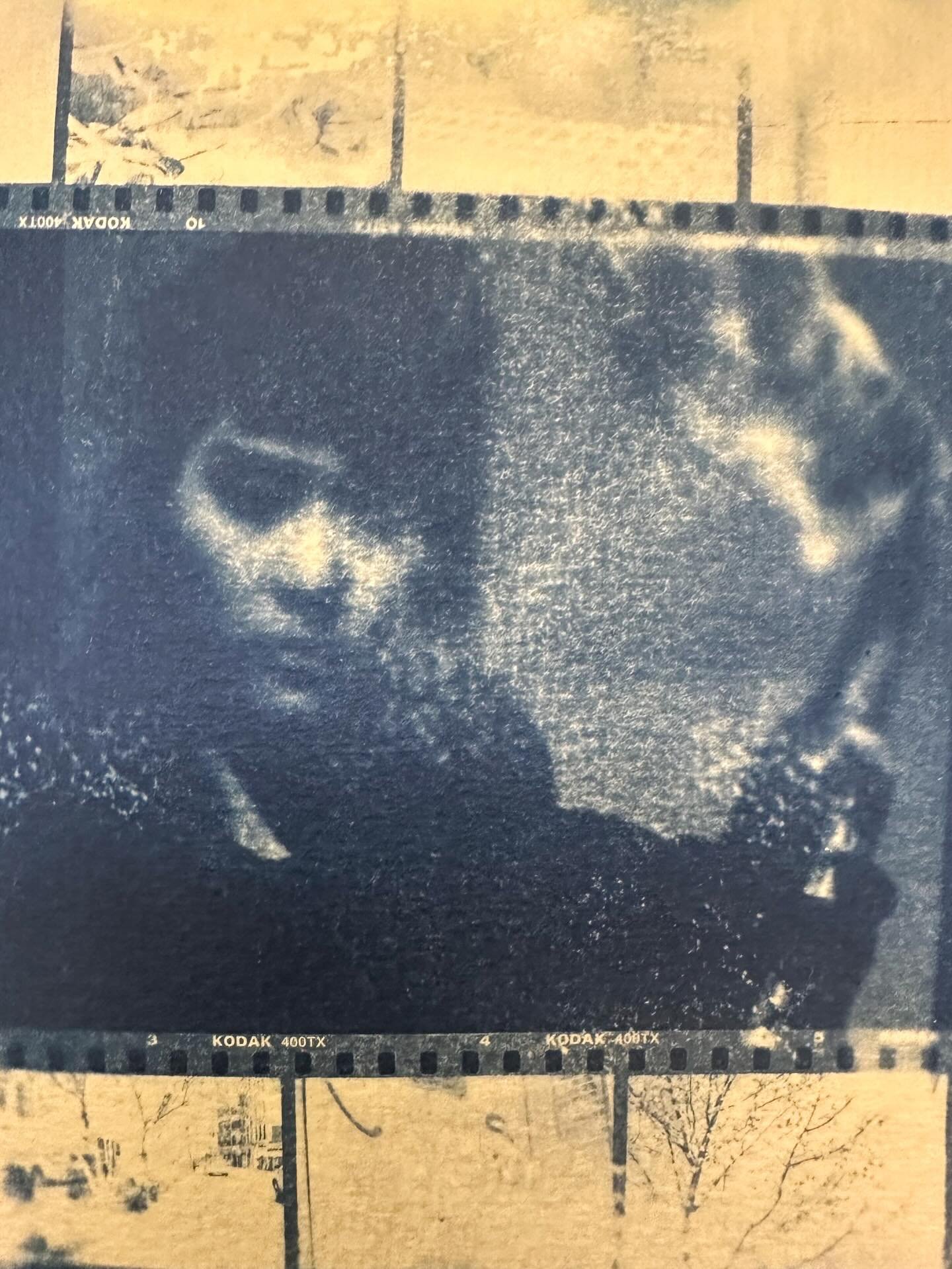 May the fire in your soul and your revolutionary spirit burn bright. 🔥
Happy May Day and Beltane! 
(I know, I&rsquo;m a day late&hellip;) 

#mayday #beltane #workersoftheworldunite #cyanotype