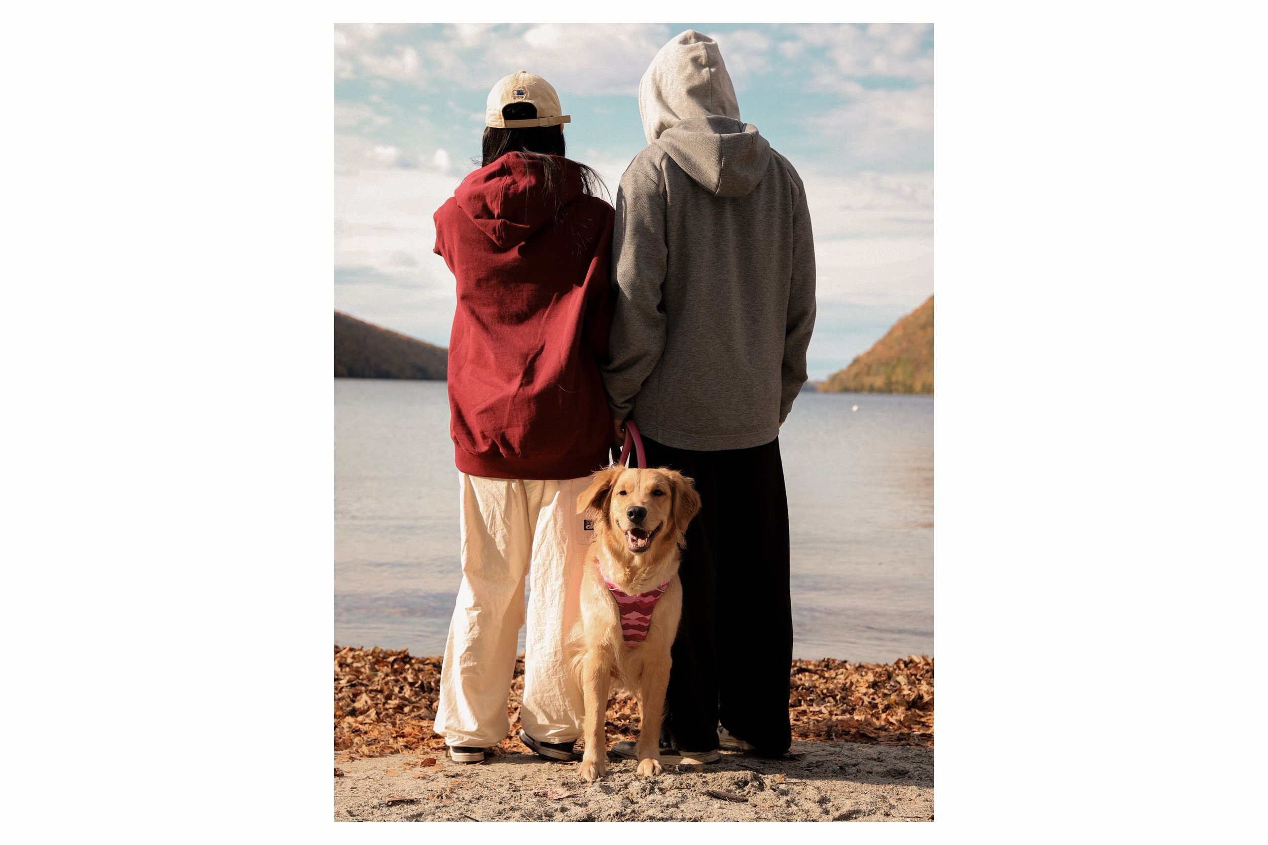 From last week, joined the legions of &ldquo;leaf peepers&rdquo; in Northern Vermont. 🍂

I met a handful of dogs, but our golden retriever friend Nicole (first slide) had some serious main character energy. Once again, nature put on the most excitin