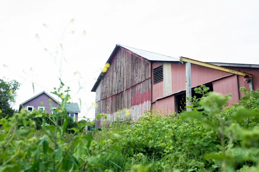 The barn at right, and the house up the hill.