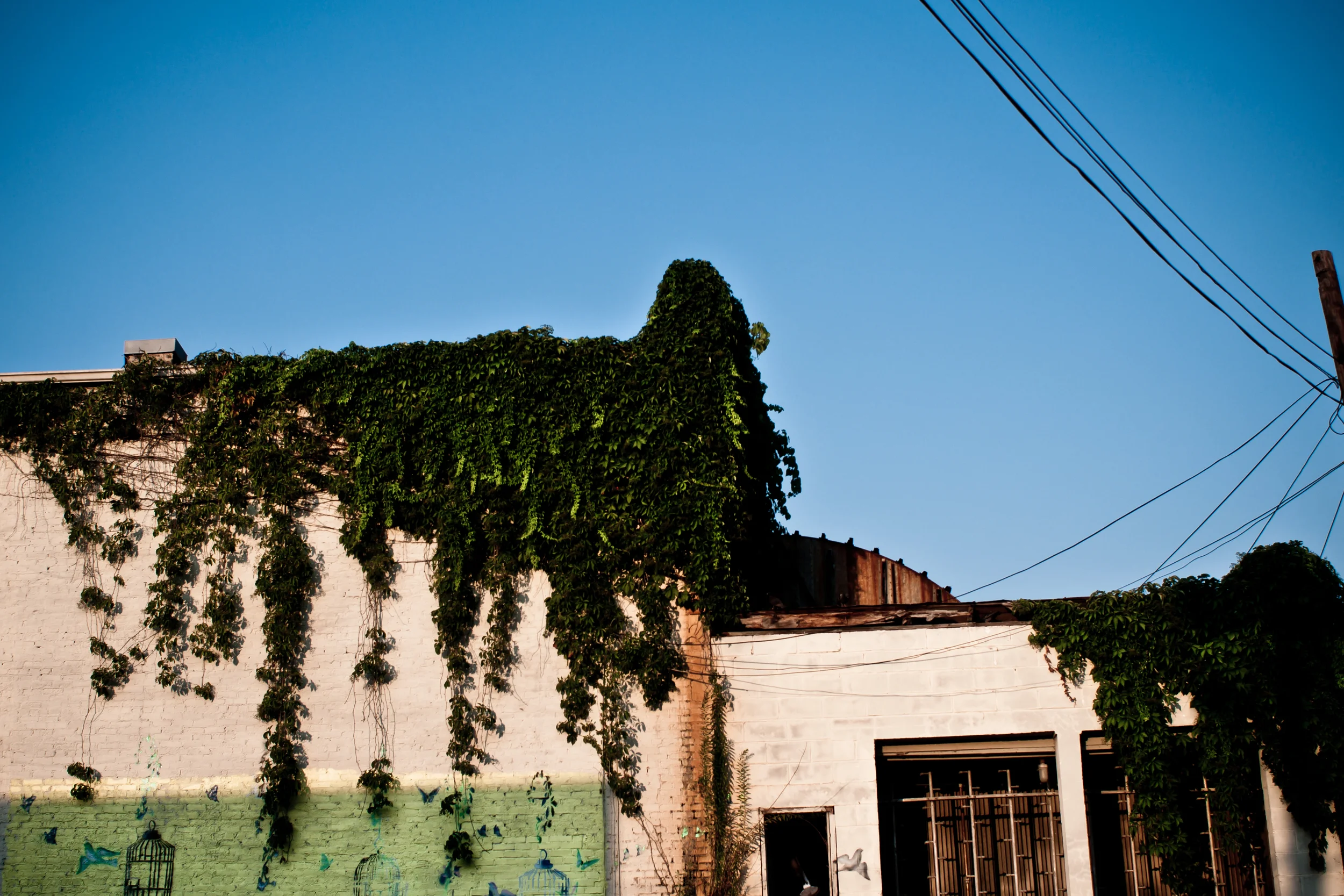 andreamabry-still-7564.jpg
