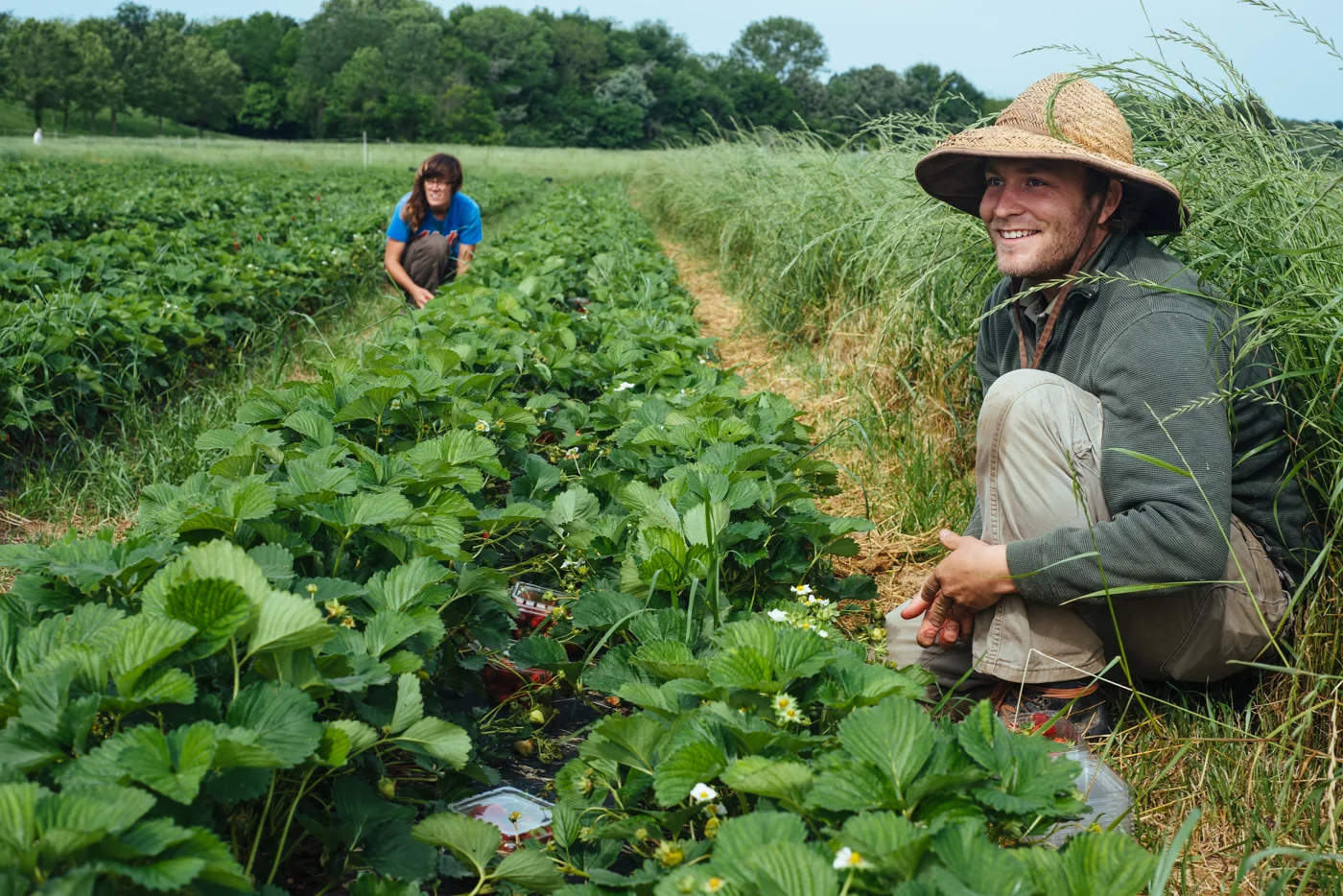 20150426-snowsbend-farm-proof-6227.jpg