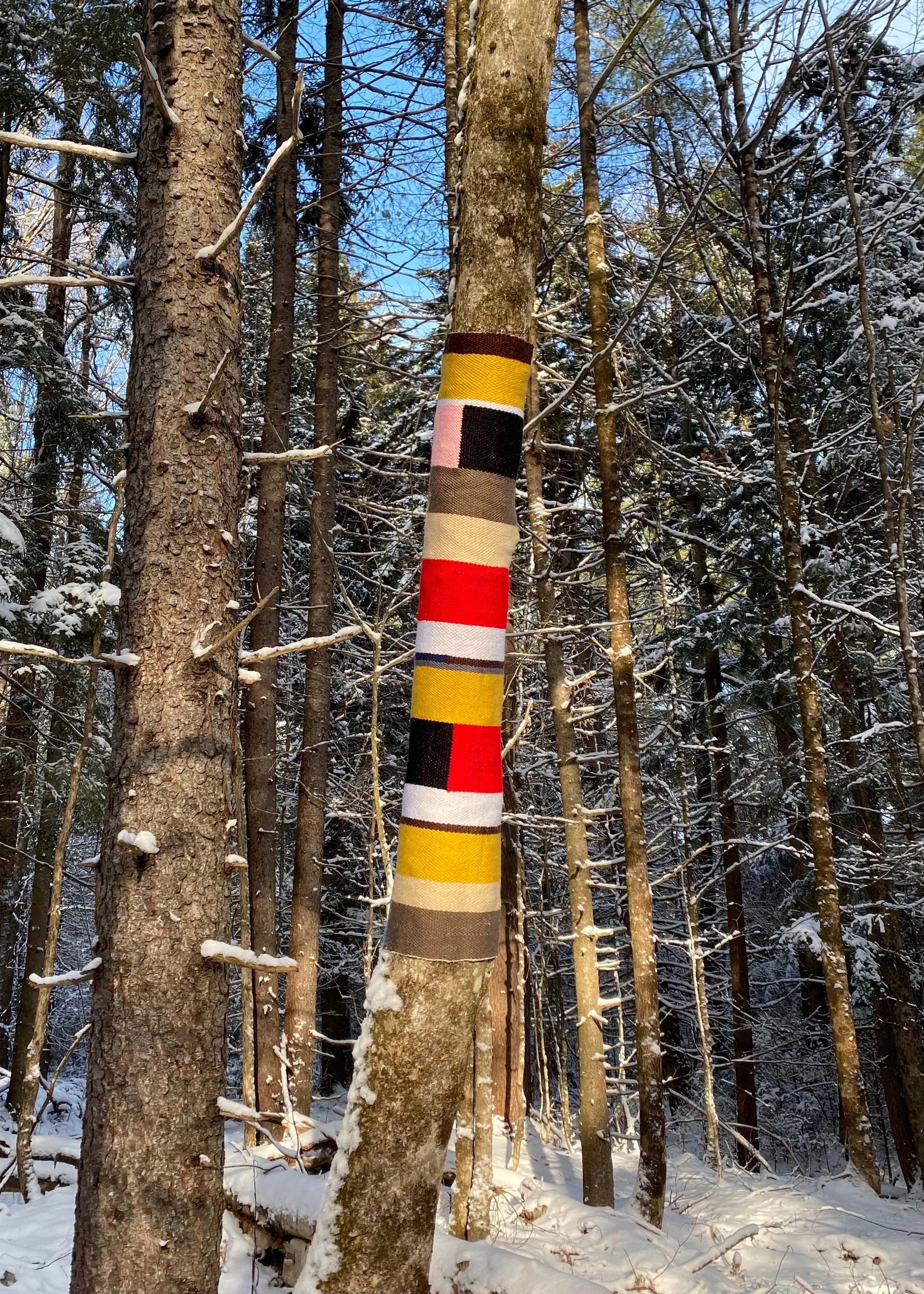 Woven Tourist, 2021, Weaving made with wool and acrylic blend yarn wrapped around a tree in Winter, Morrisville, VT  