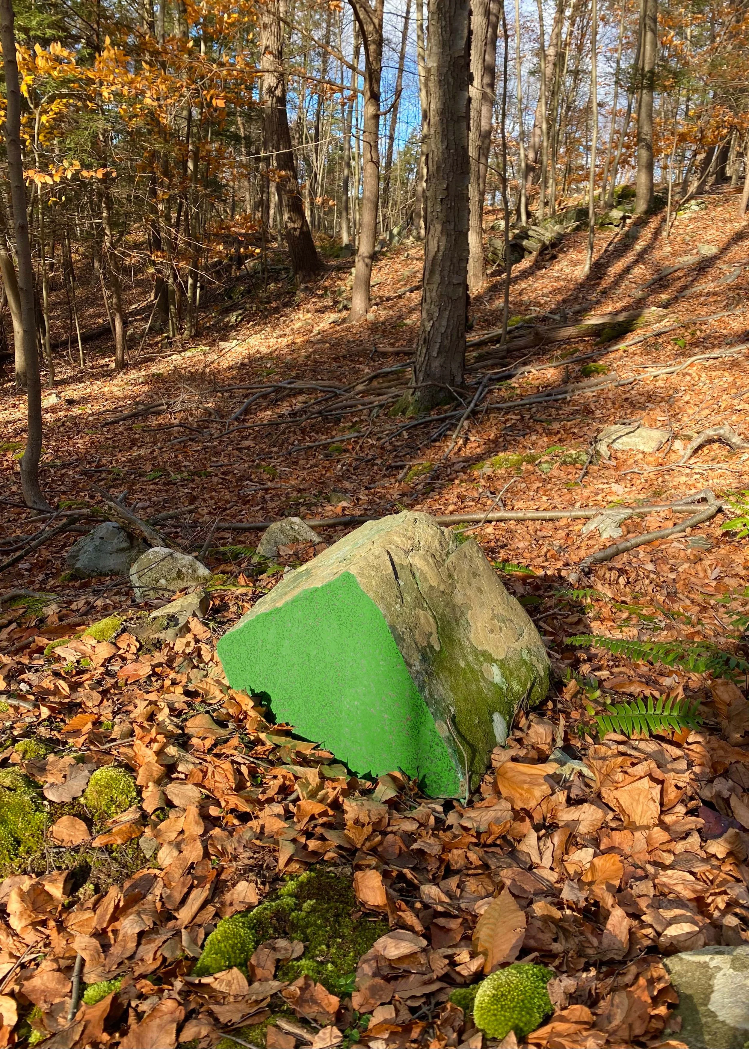 Green Chalk Tourist, 2021, Green chalk on a split stone in Fall, Esopus, NY
