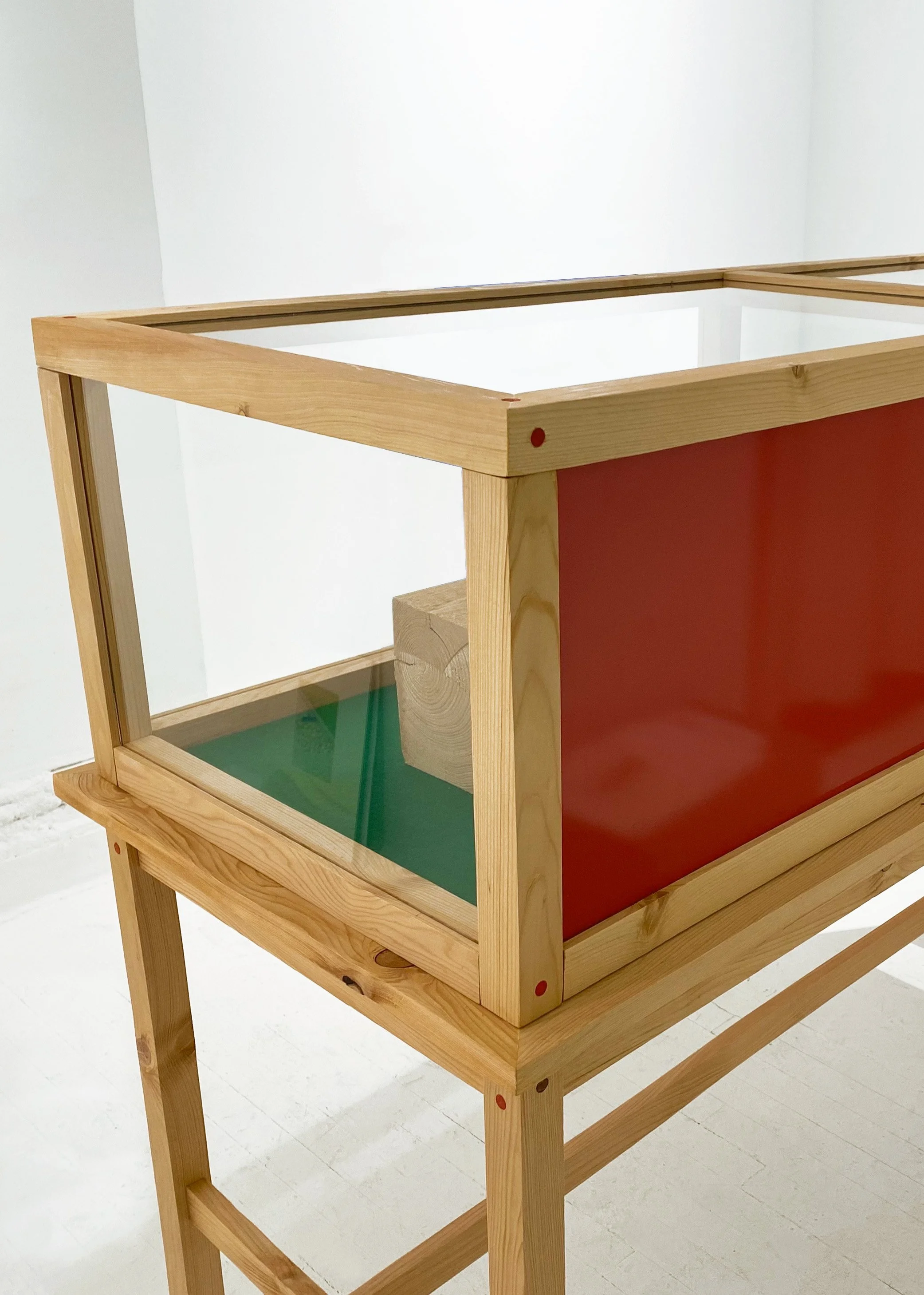 Hemlock Woolly Adelgid Vitrine back detail