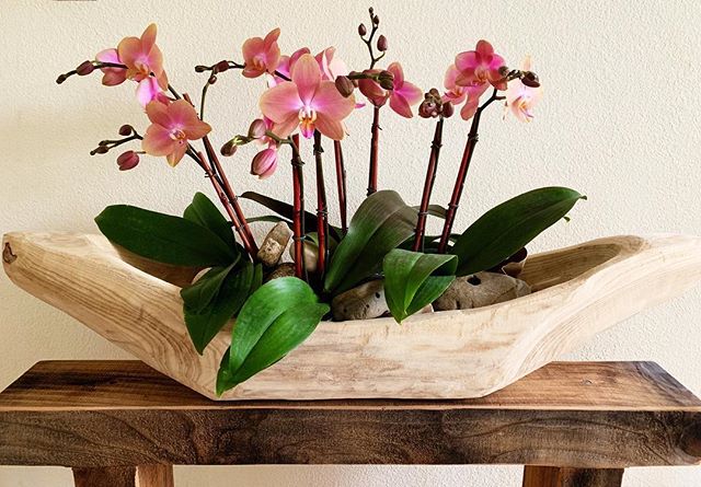 Gorgeous wooden trough filled with dusty pink phalaenopsis for sale.  Perfect for an entry or dining room table. Can then be refilled with seasonal pretties. Local Bay Area only $290.
