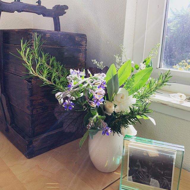 Herbs from the garden. white sage 🌿 rosemary 🌿 borage 🌿 rose