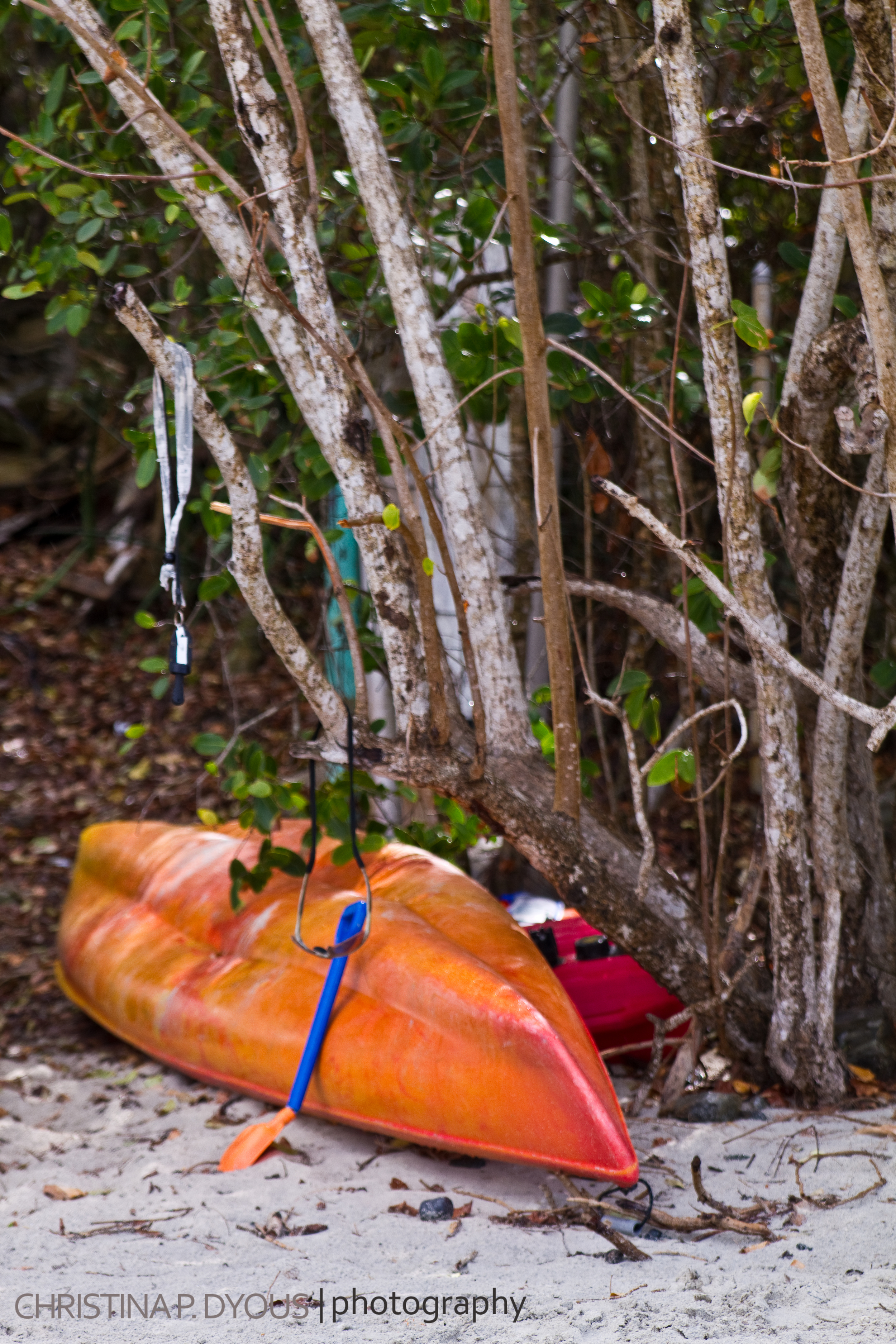 stjohn-8.jpg