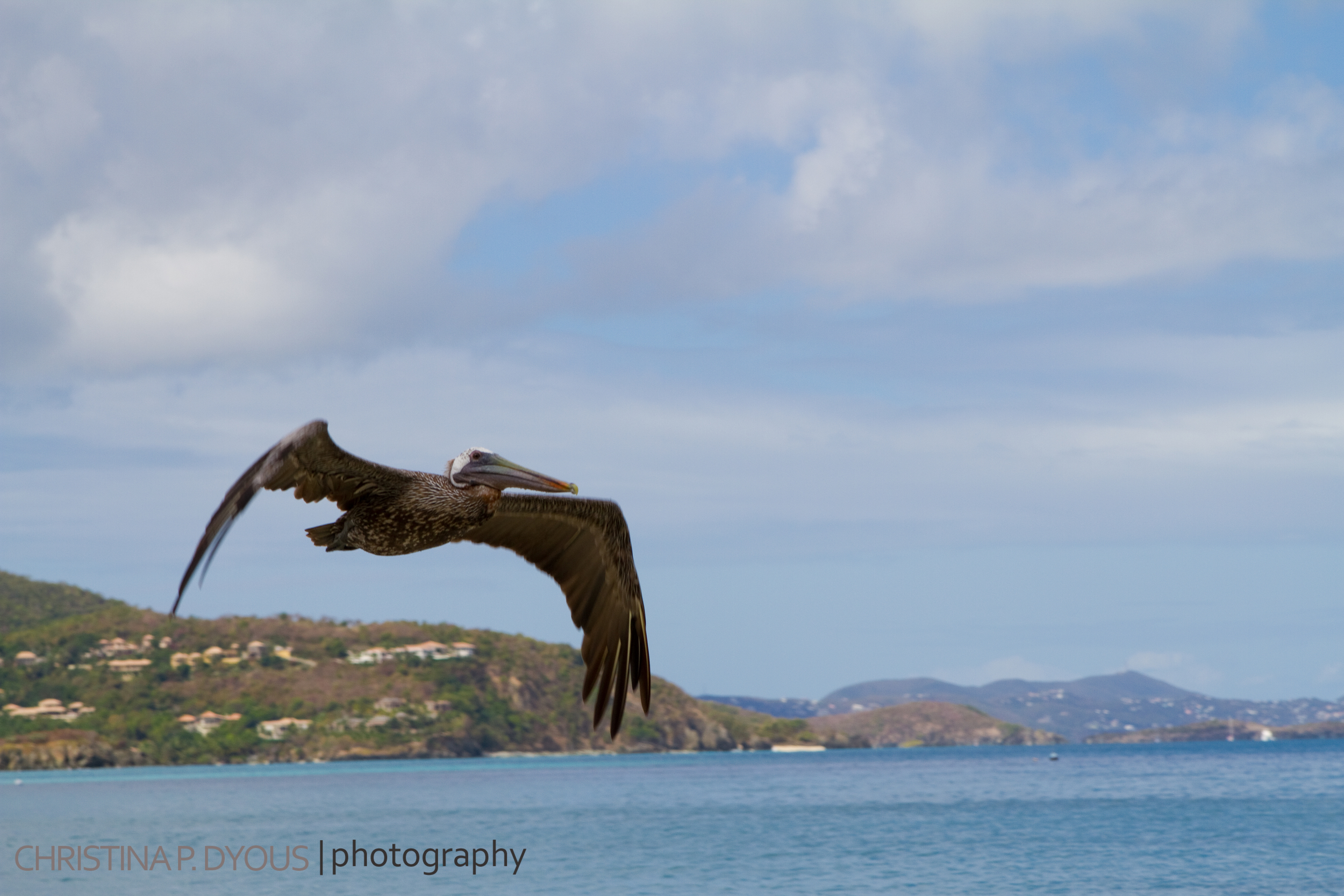 stjohn-11.jpg
