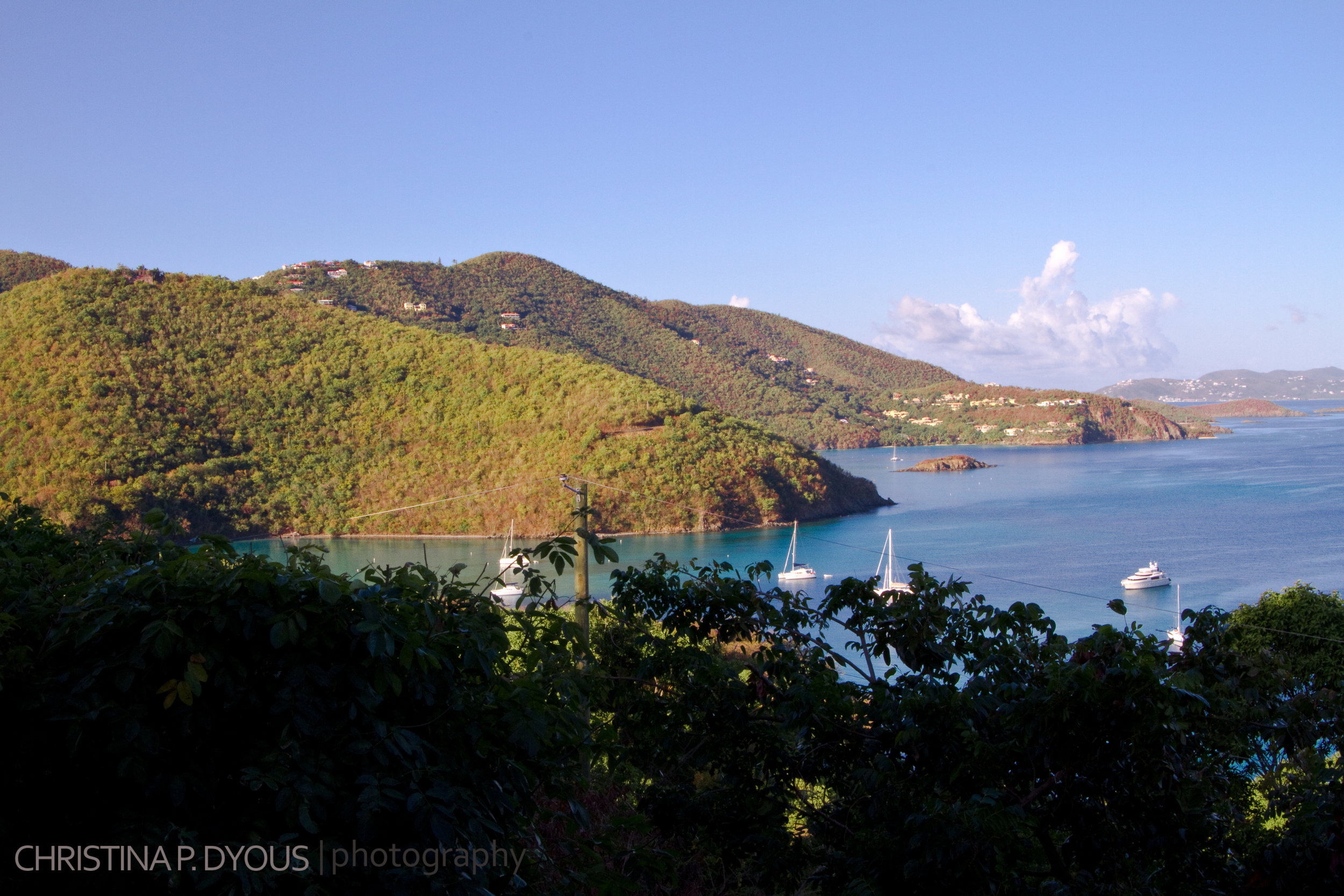 stjohn-15.jpg