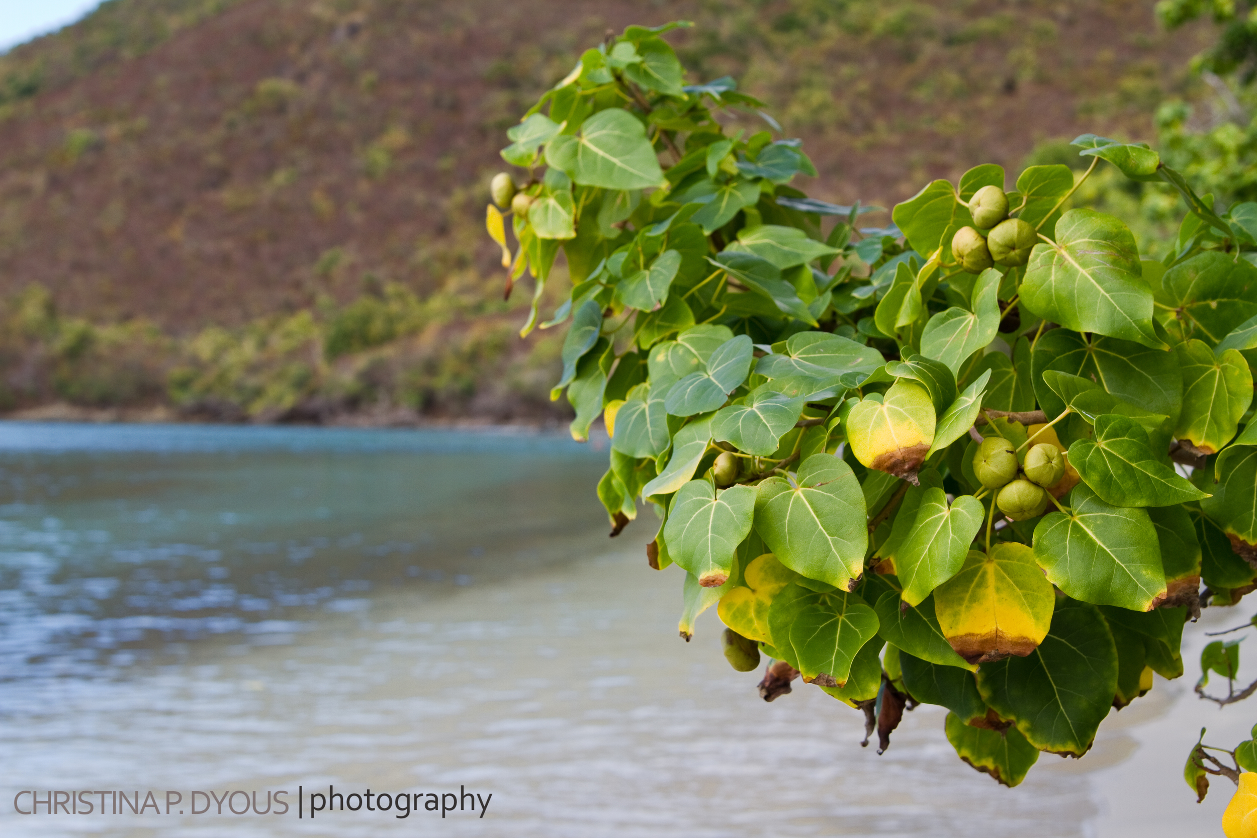 stjohn-32.jpg