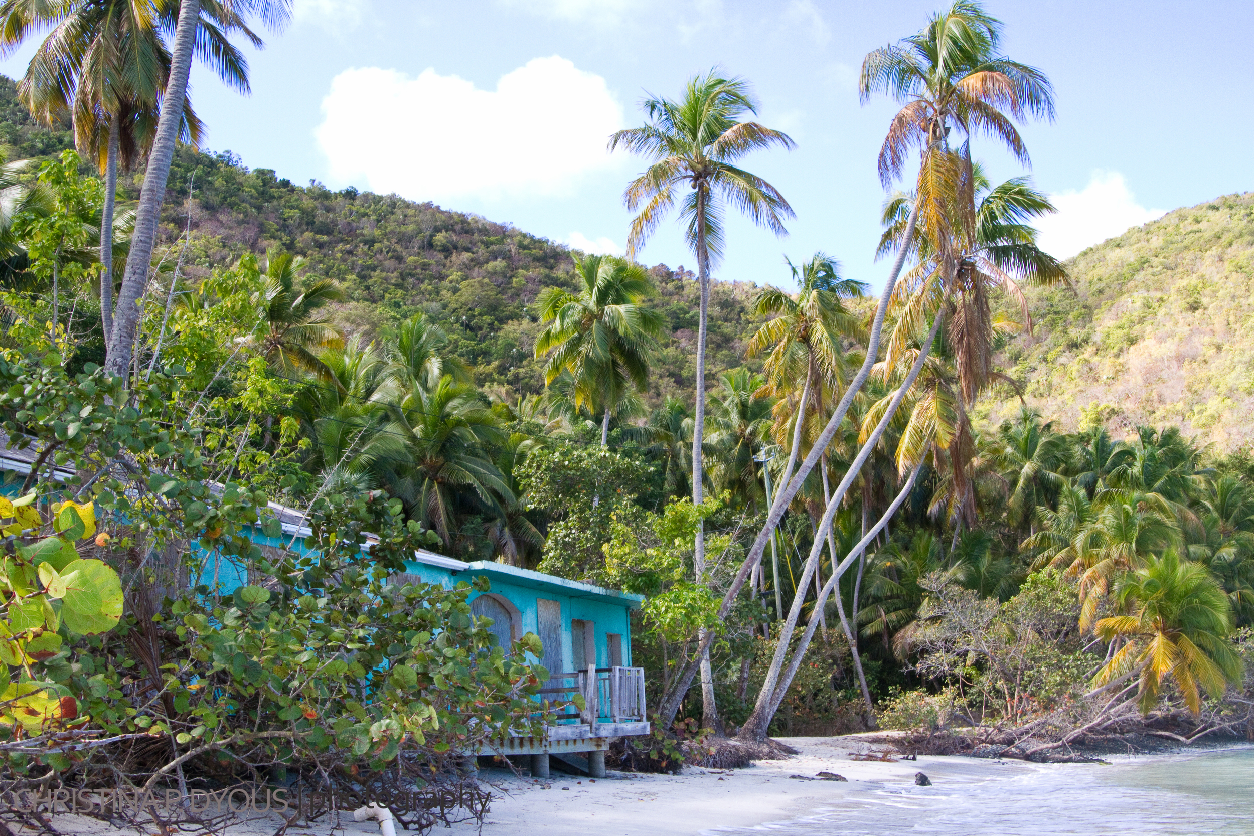 stjohn-51.jpg