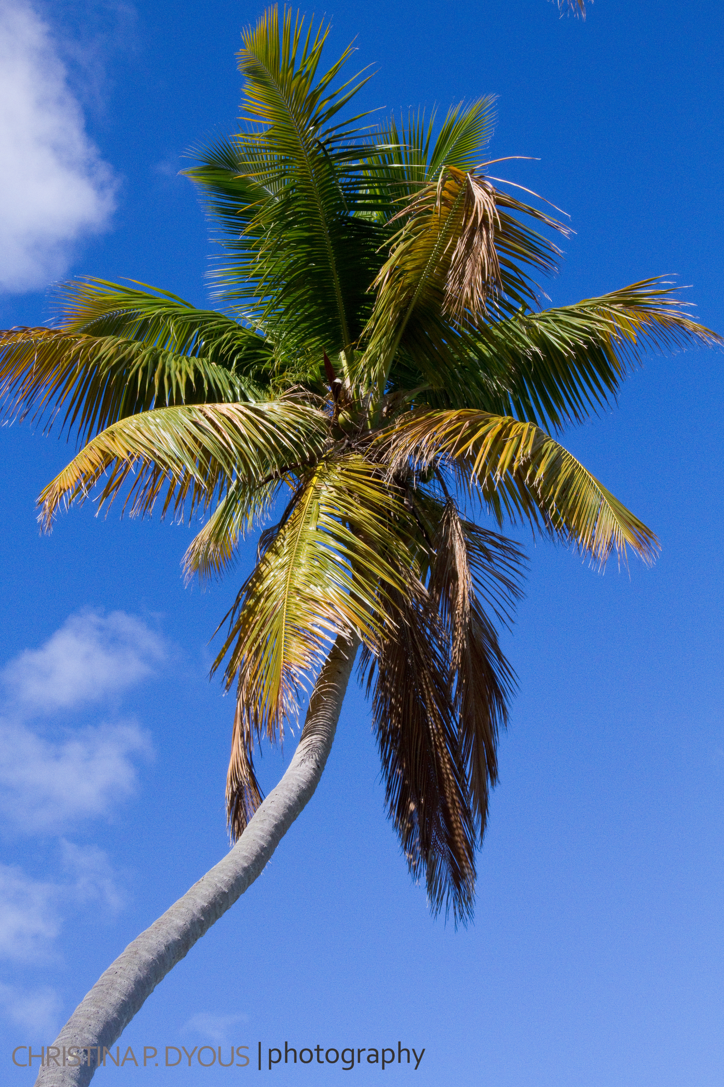 stjohn-52.jpg