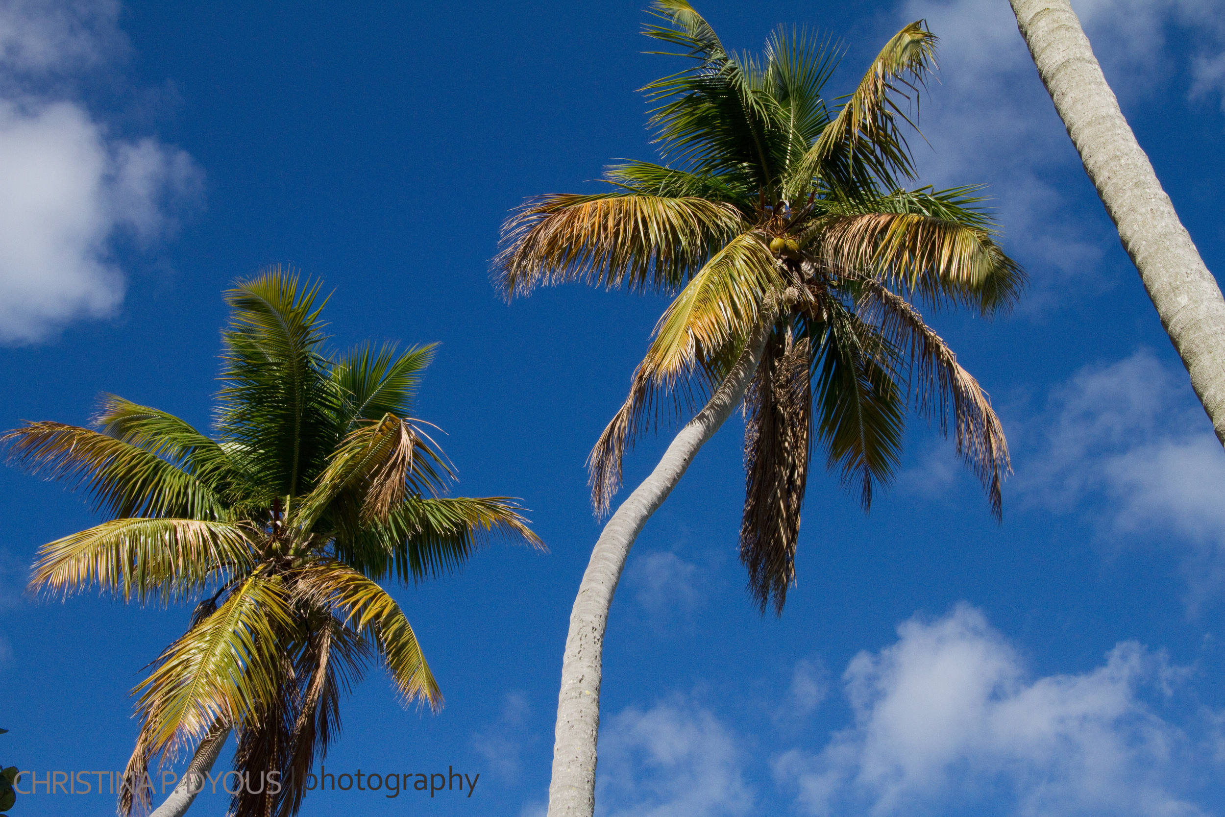 stjohn-53.jpg