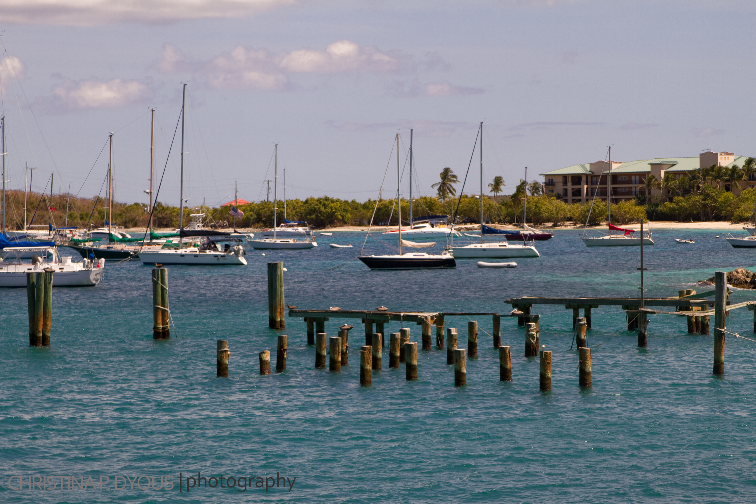 stjohn-67.jpg