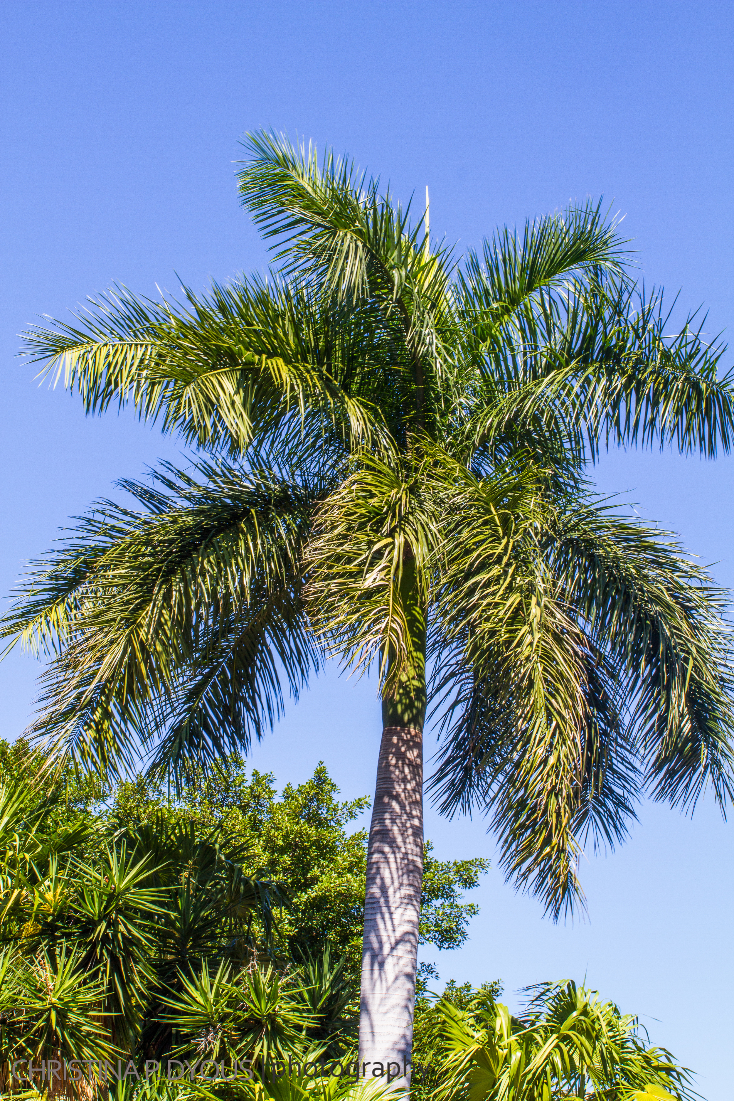 Mexico2014-93.jpg