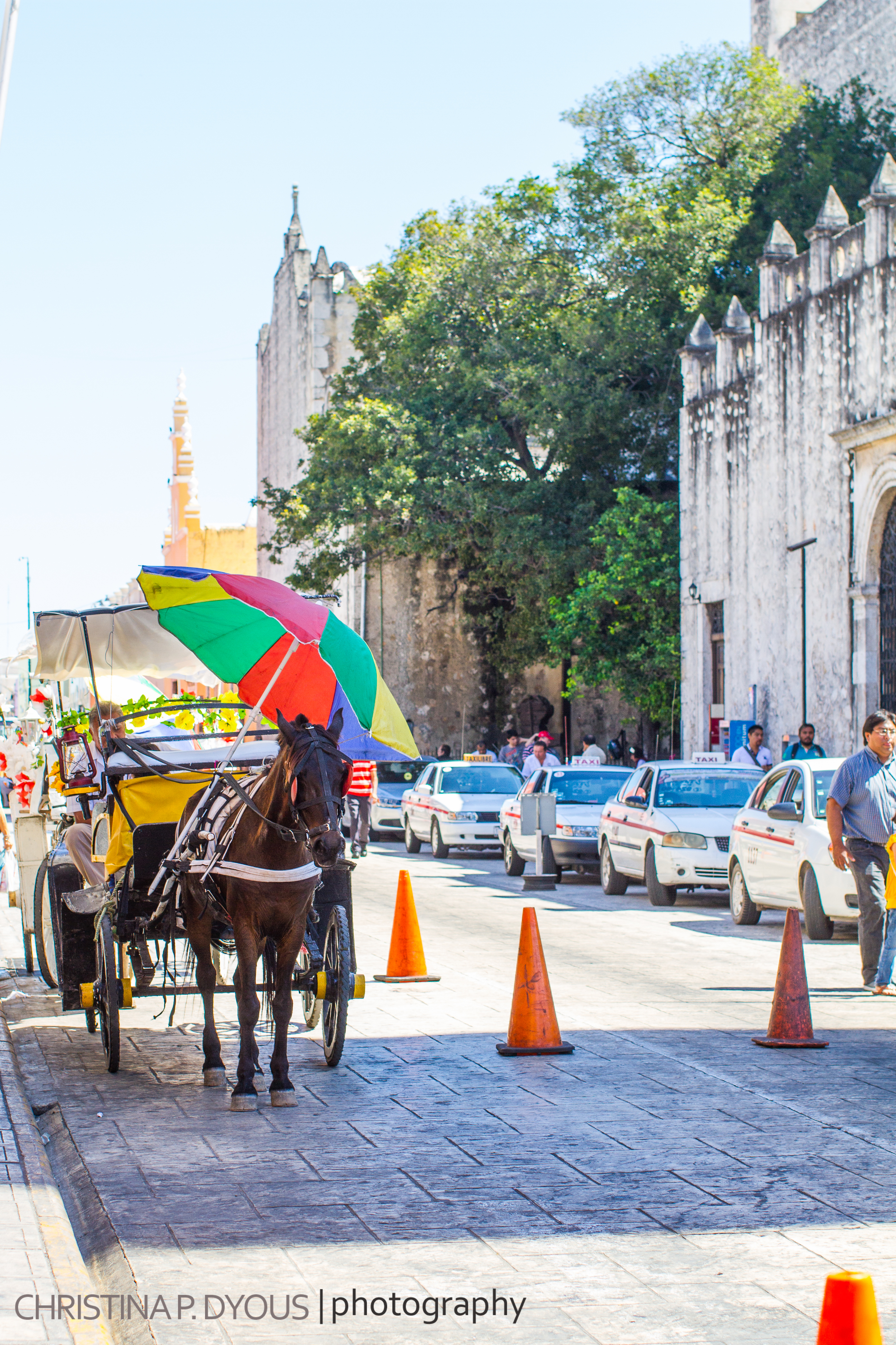 Mexico2014-104.jpg