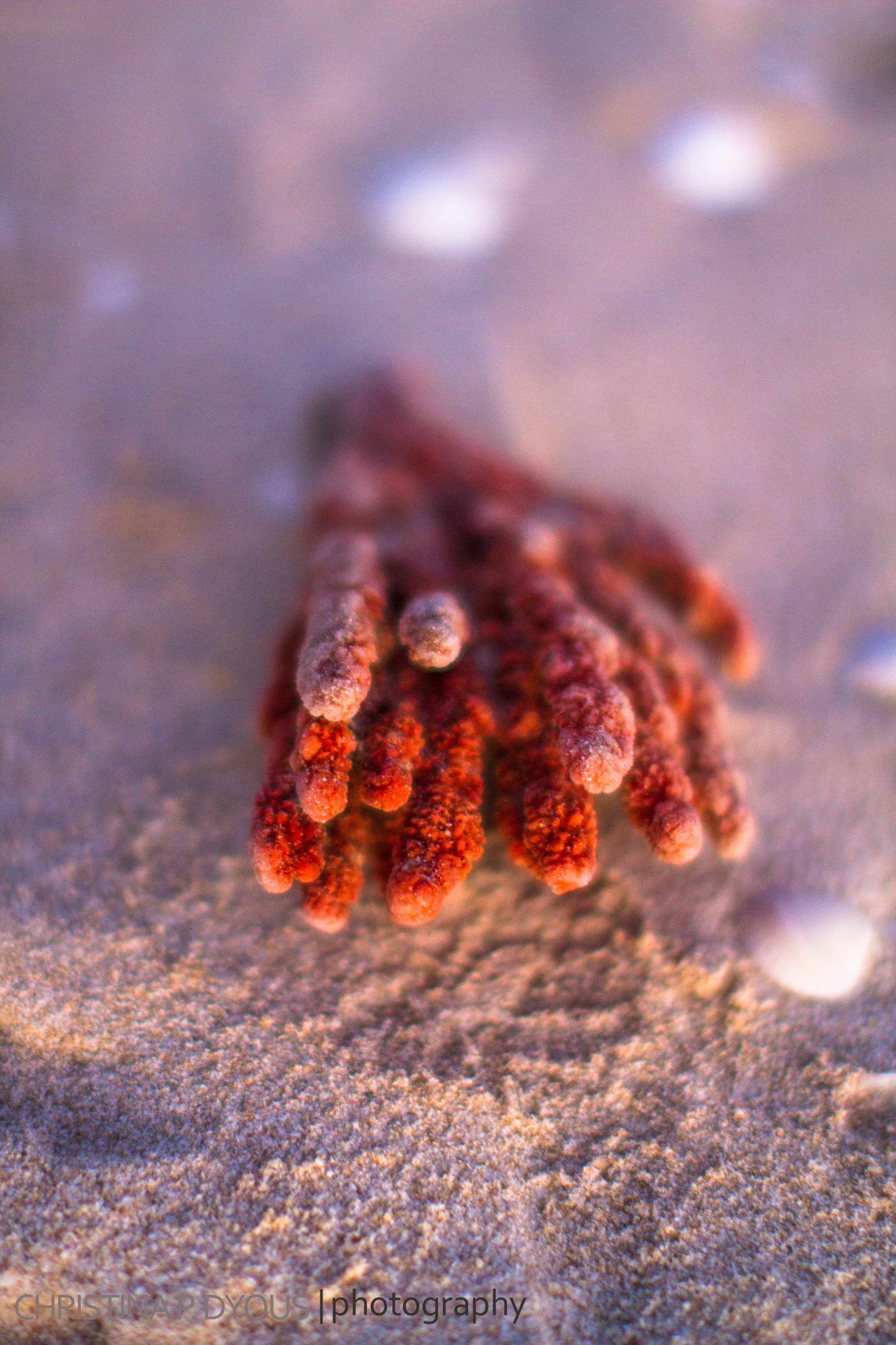 Mexico2014-139.jpg