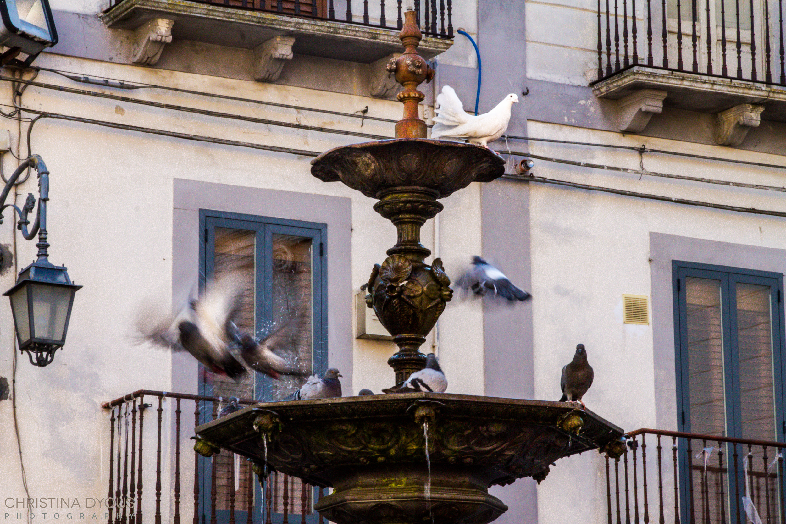 Italy 2015-293.jpg