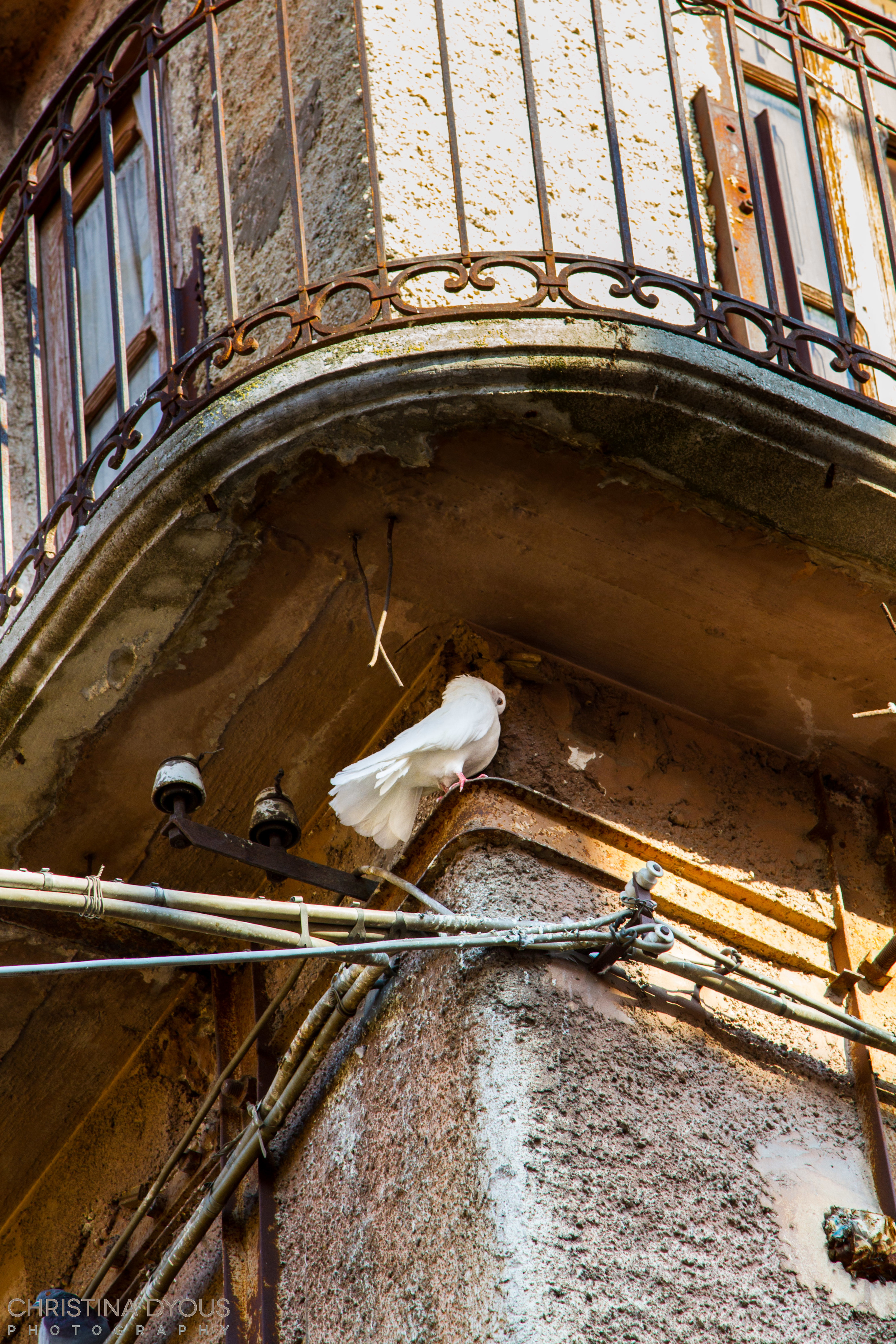 Italy 2015-379.jpg