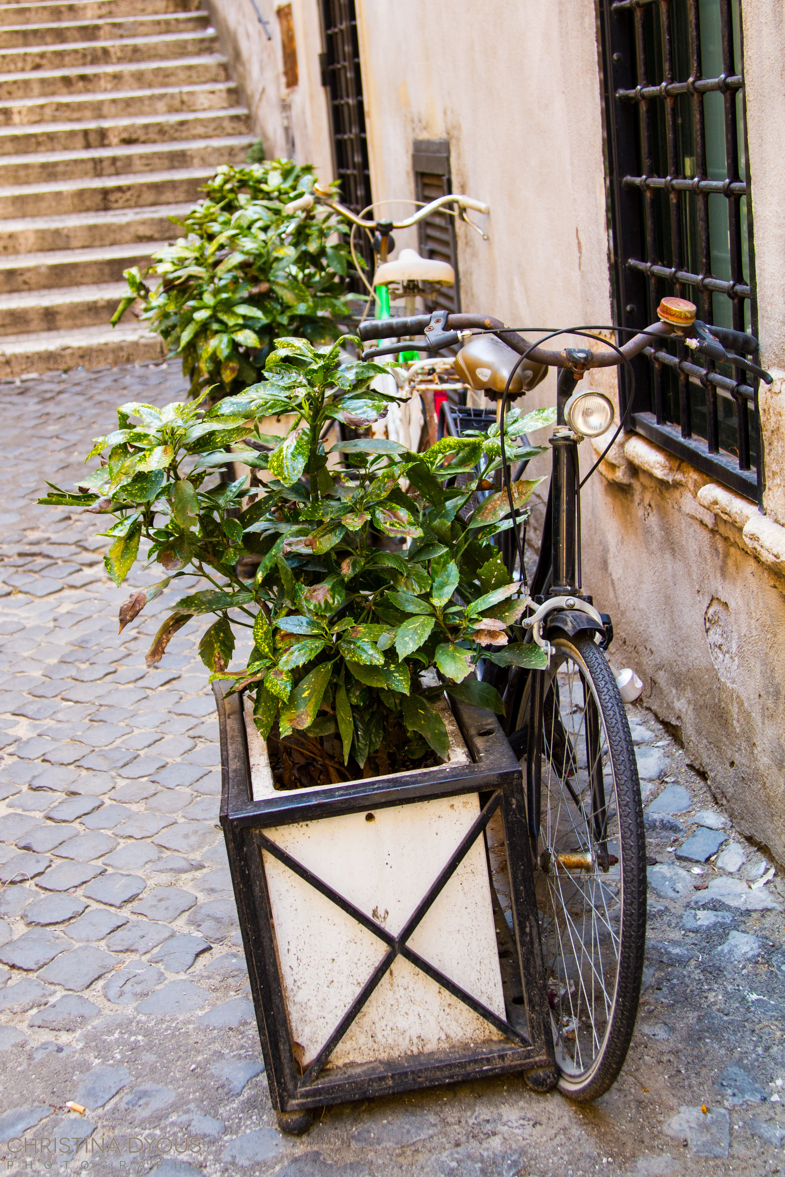 Italy 2015-433.jpg