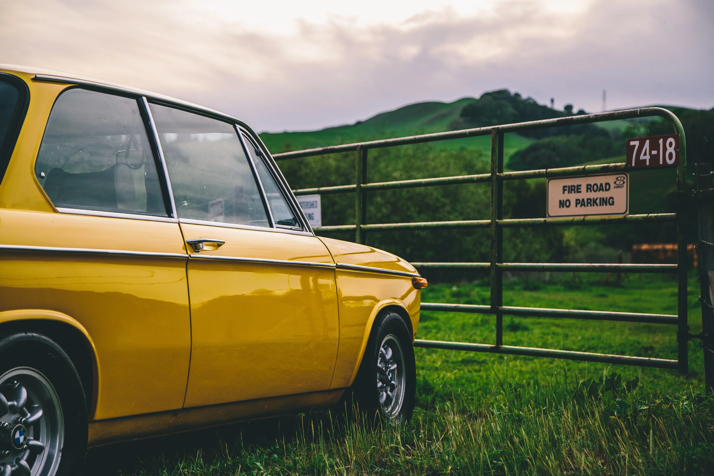 Didn't go in the fire road but we definitely set the road on fire...&nbsp;