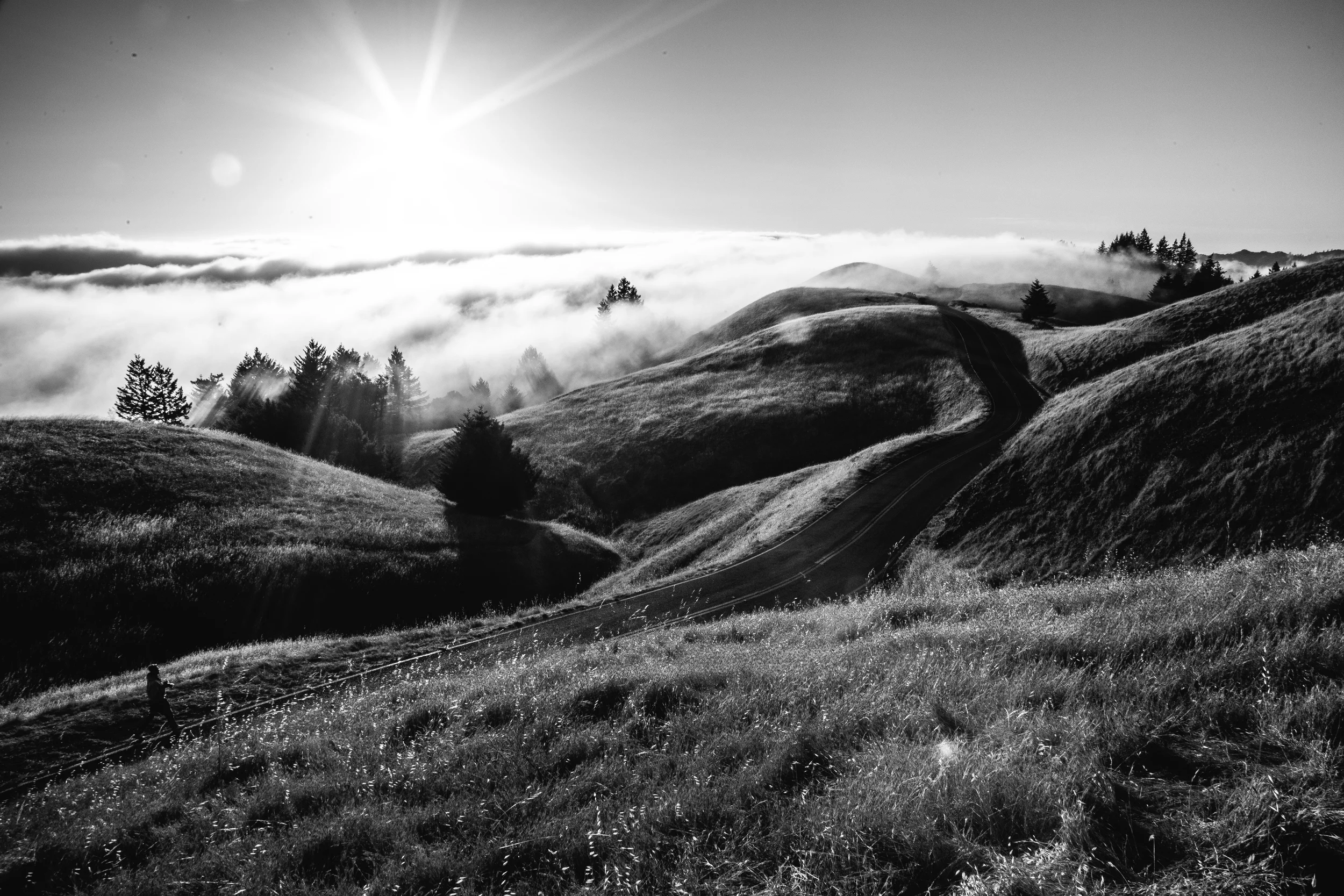 Photo by Sasan Sayyar