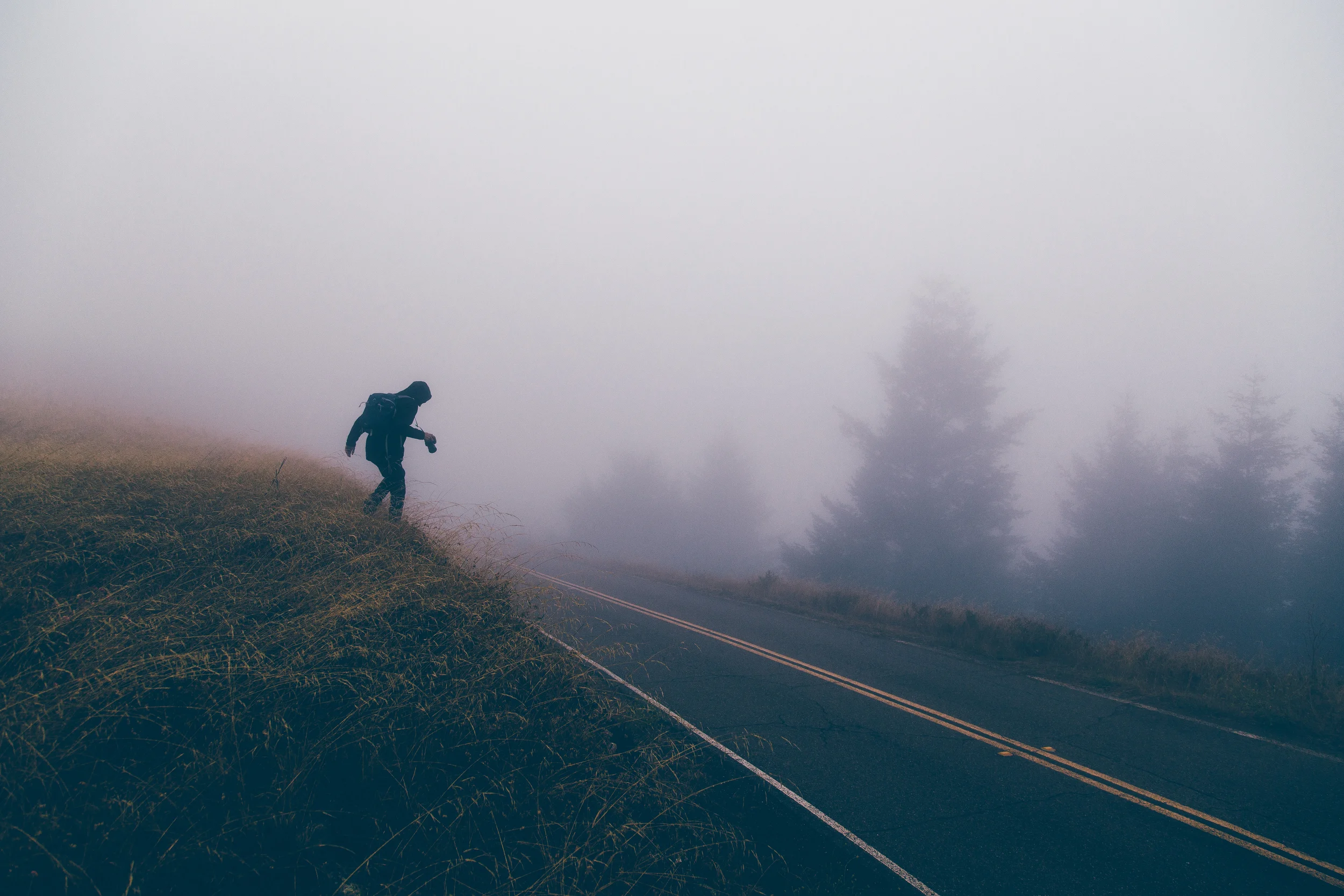 The fog