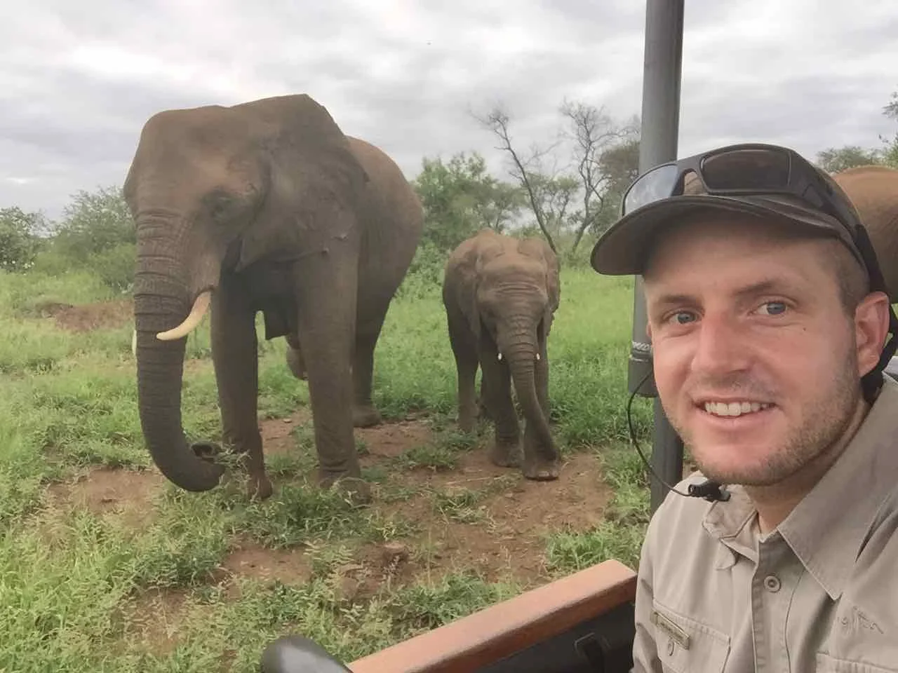 A close encounter with a very relaxed herd of elephants in the Kruger National Park.