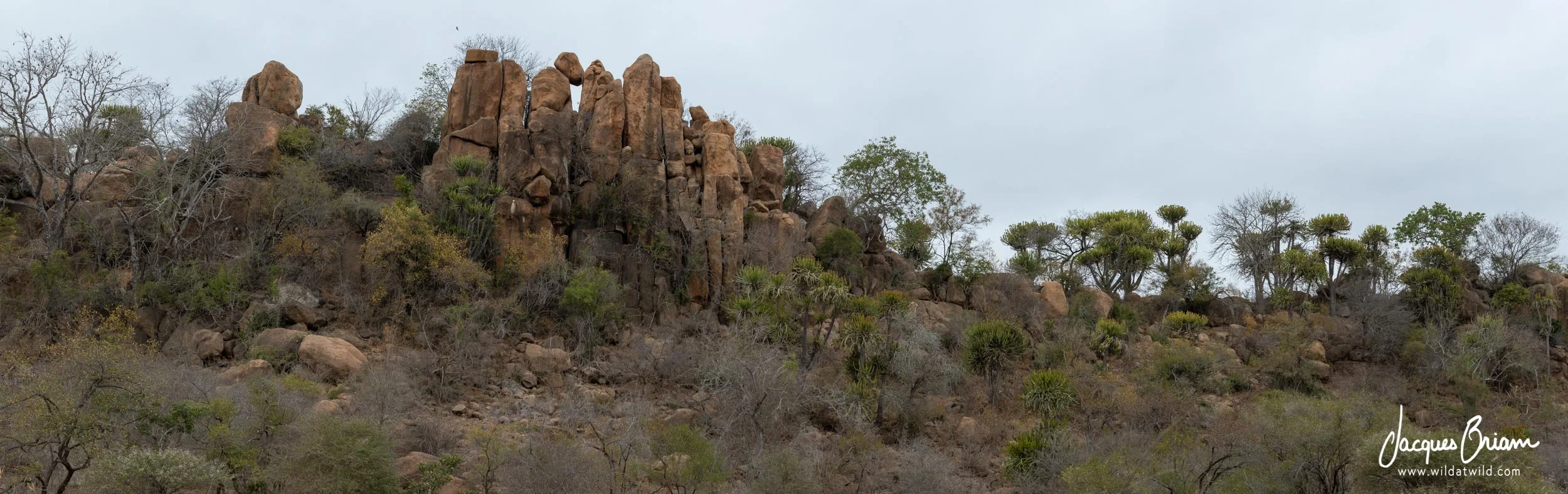 Lebombo Mountains / Granophyre Ridge