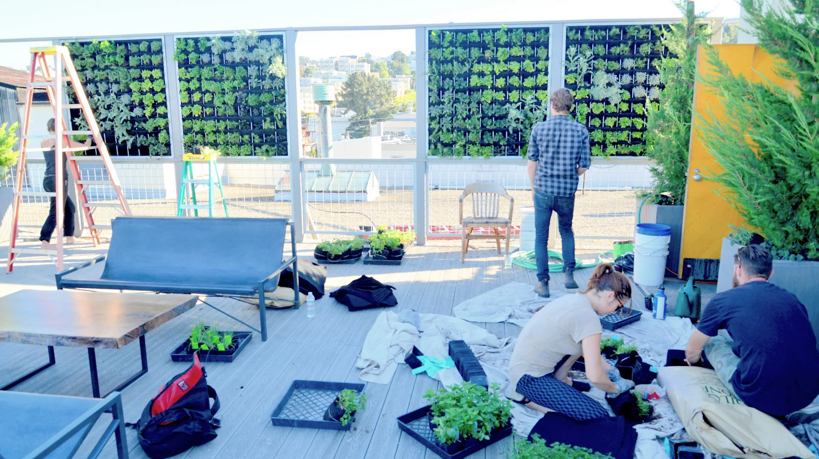 Brandon Pruett, Living Green Design, Anchor Brewing Company, Florafelt System