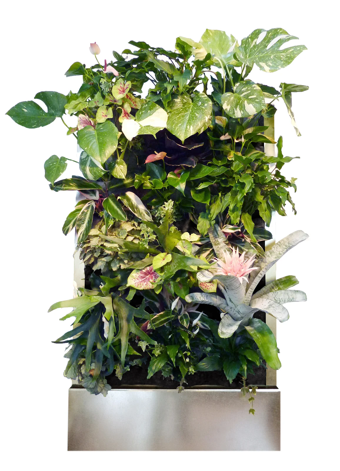 indoor living walls vertical gardens on Florafelt Guides Recirc Guide Florafelt