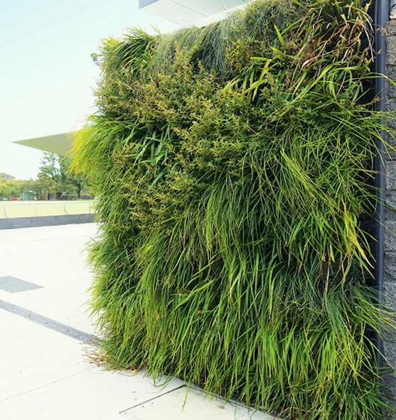Australian Grasses Vertical Garden Florafelt - Felt Vertical Garden Australia Australian Grasses Vertical Garden Florafelt - Felt Vertical Garden Australia